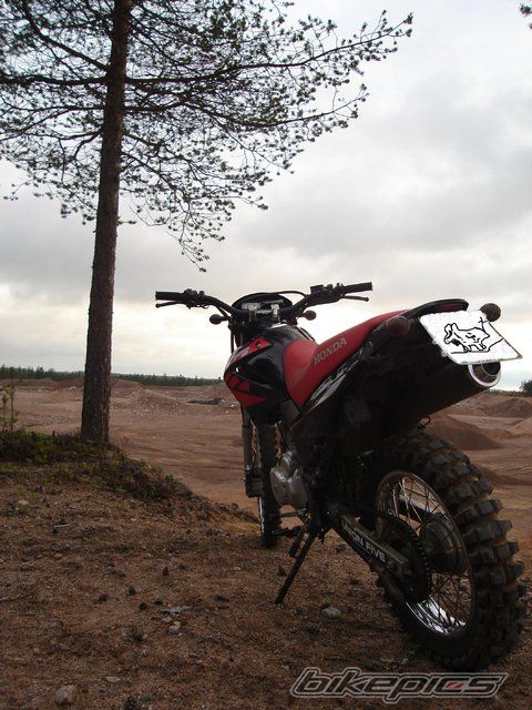 Photo 1445354