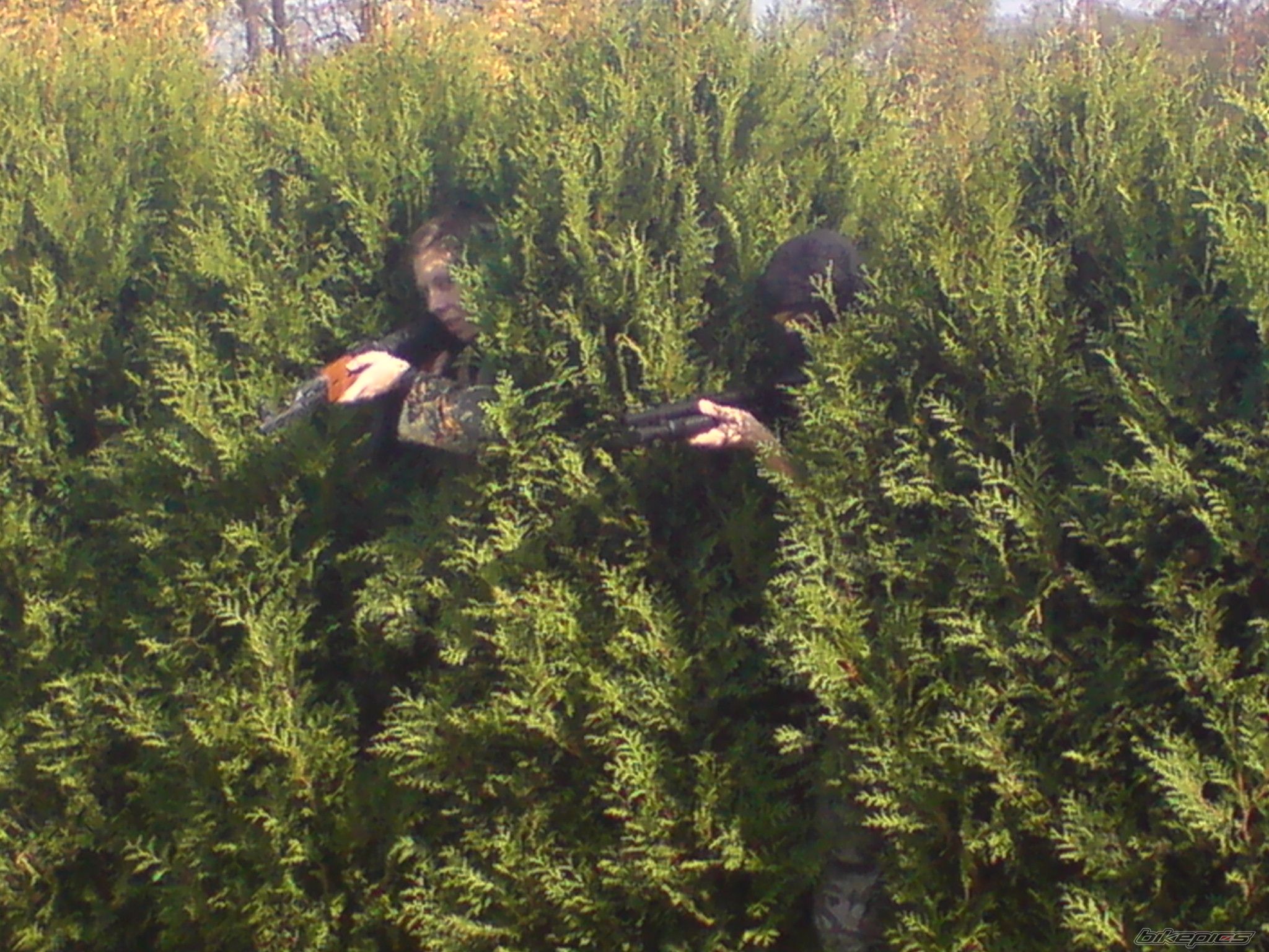 Photo 1445355