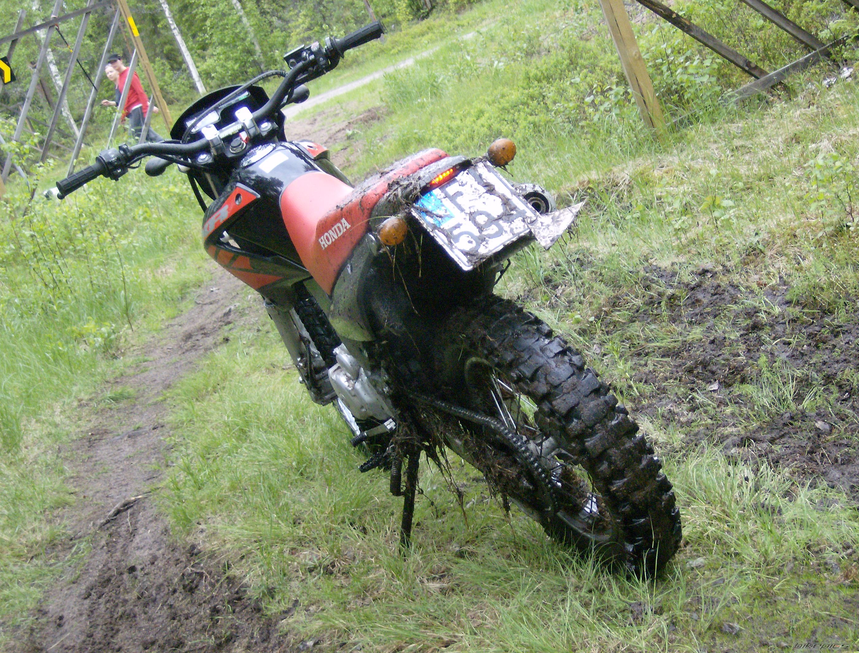 Photo 1445357