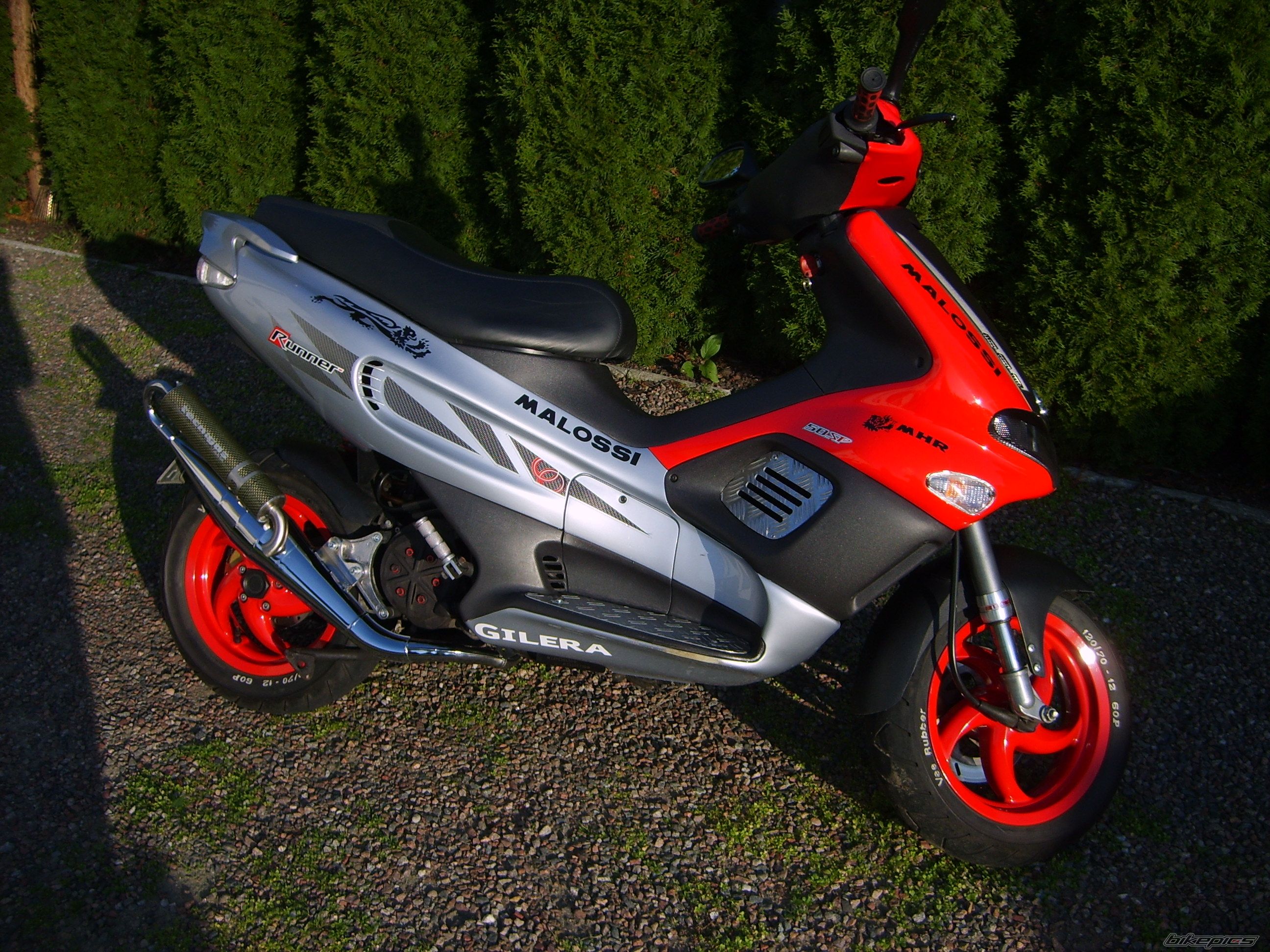 Photo 1445374