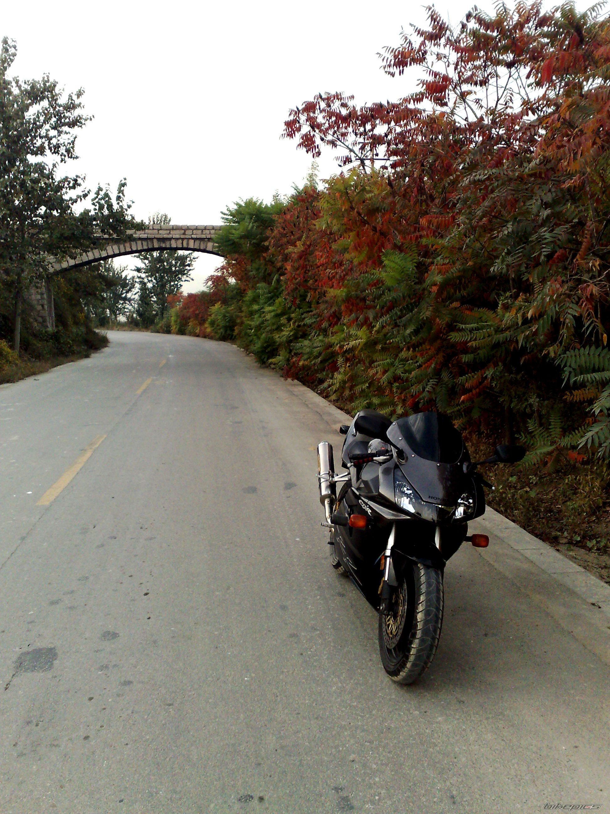 Photo 1445386