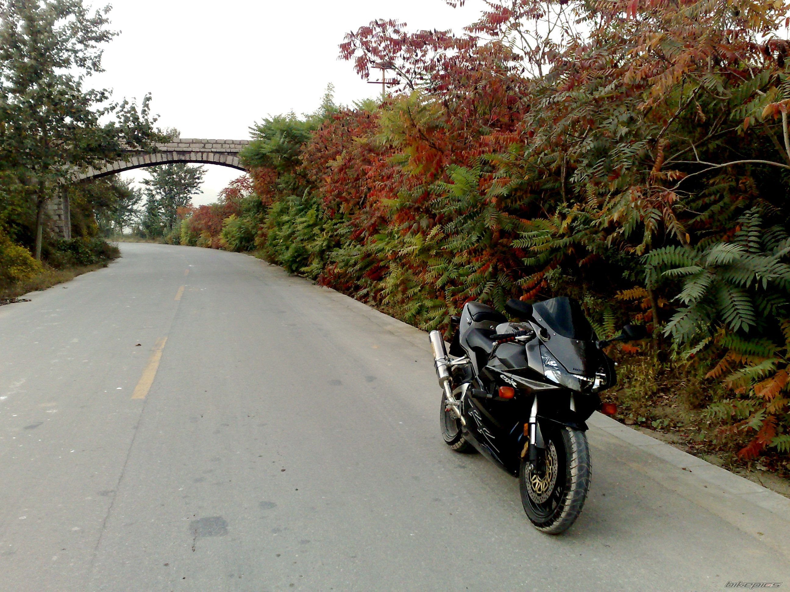Bike Photo 1445388
