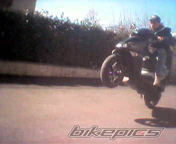 Photo 144541