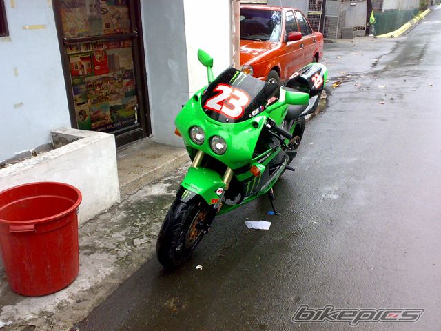 Photo 1445410