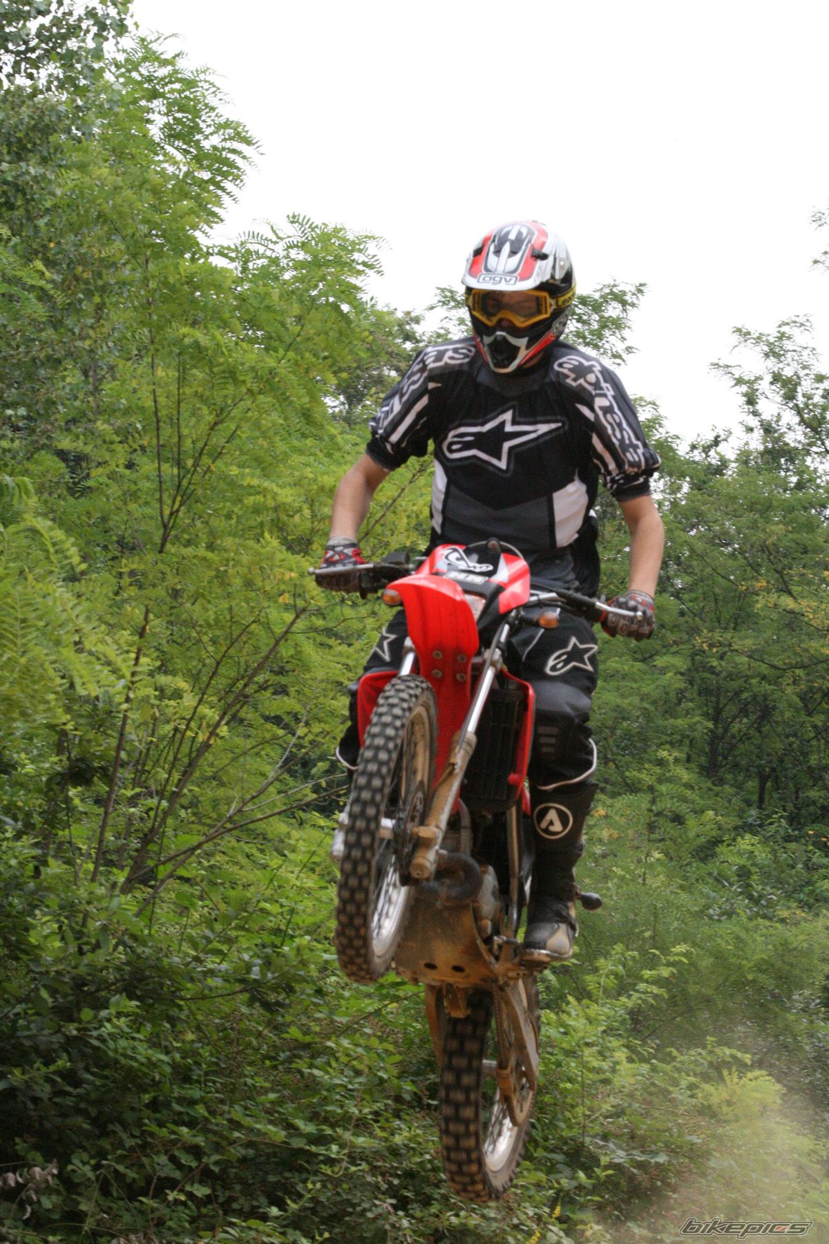 Photo 1445423