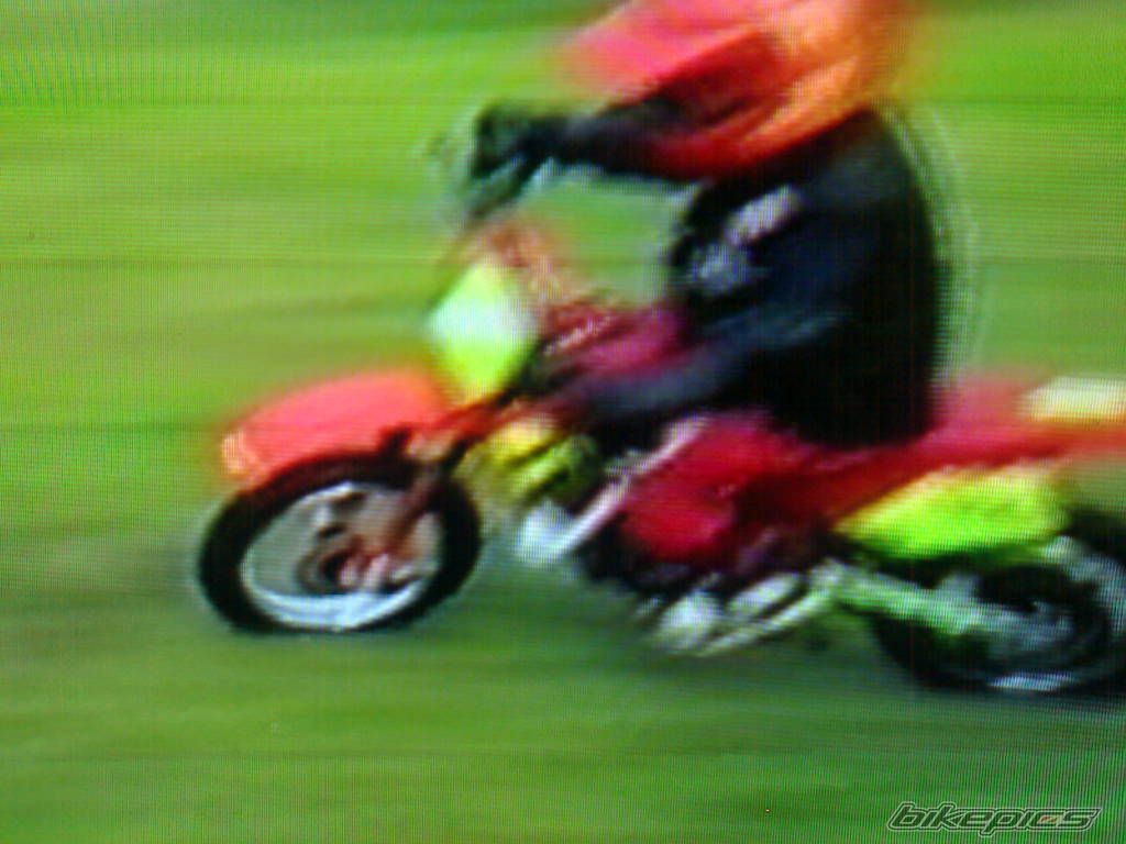 Photo 1445425