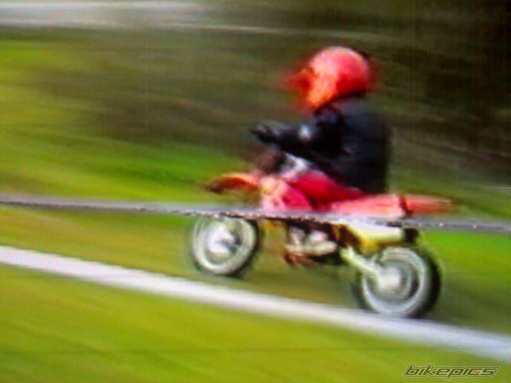 Photo 1445426