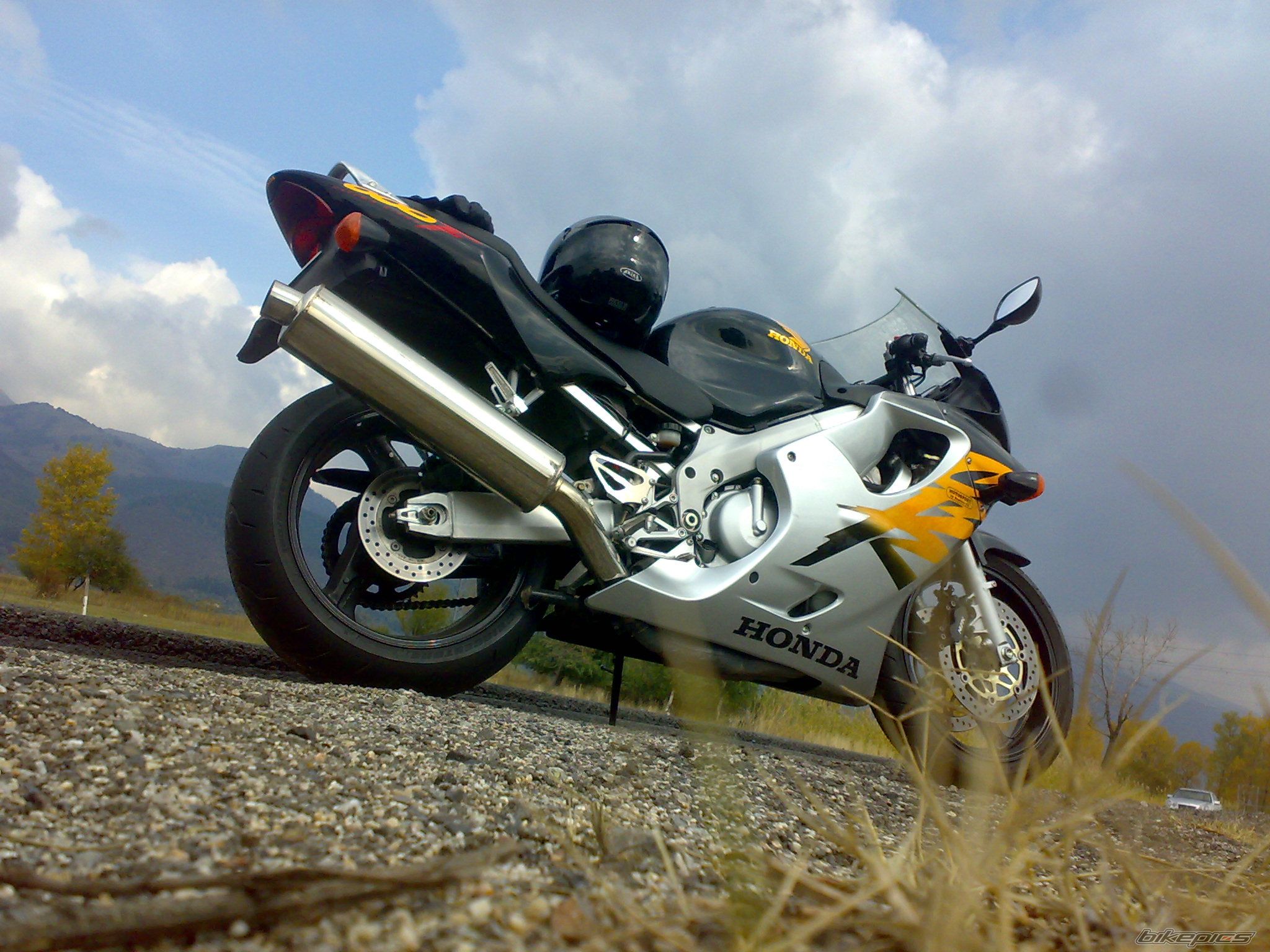Photo 1445429