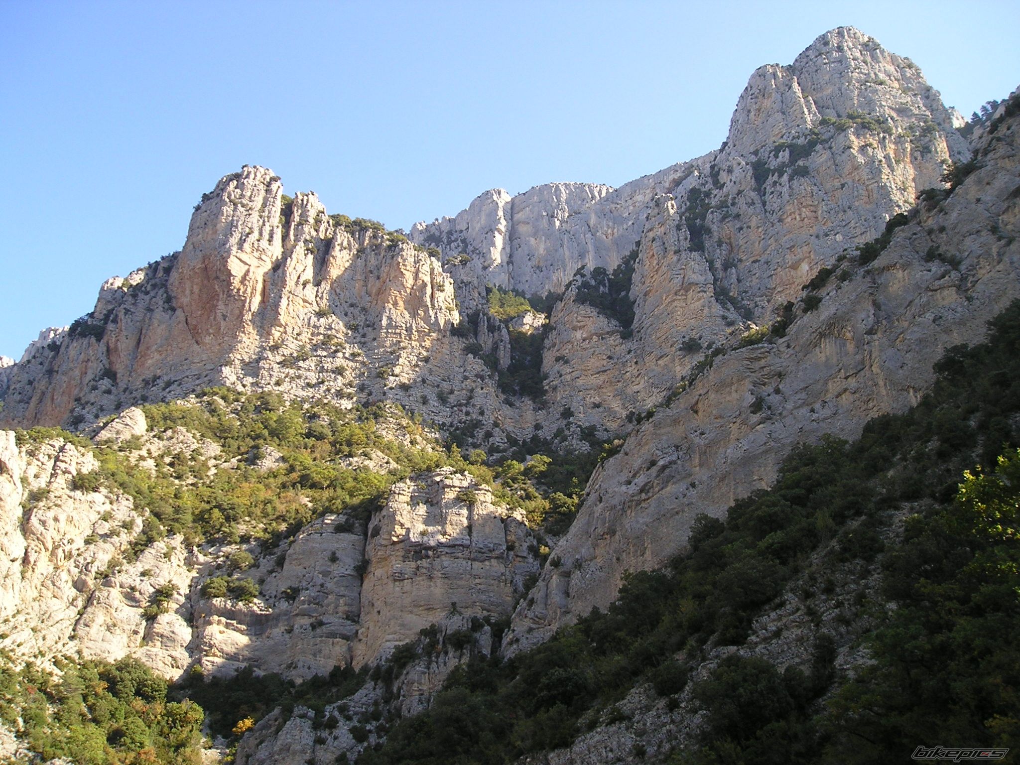Photo 1445438