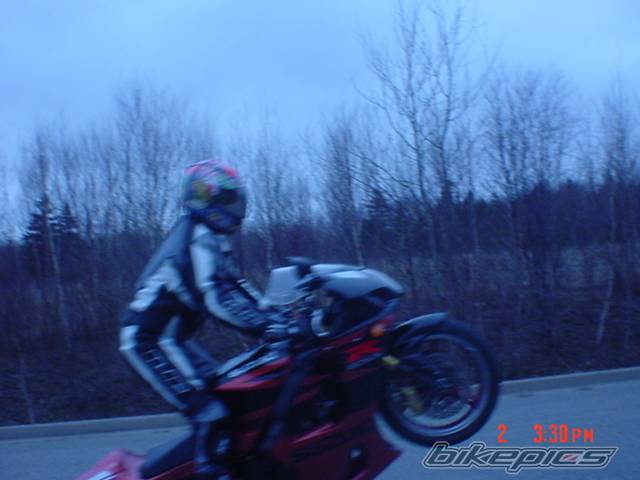 Photo 144544