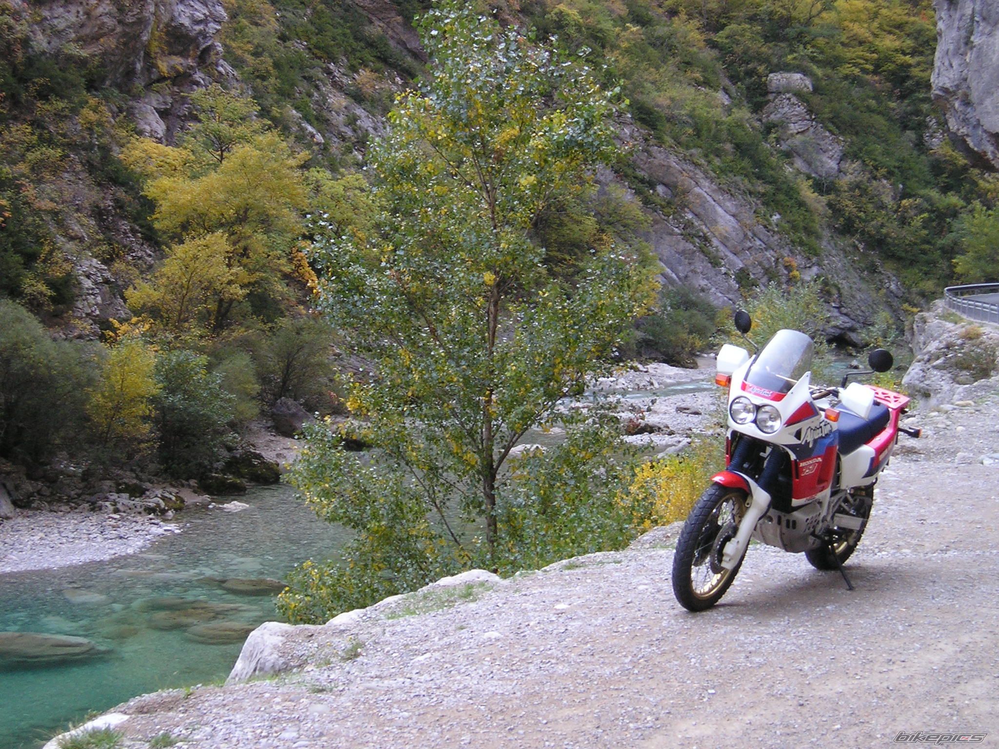Photo 1445446