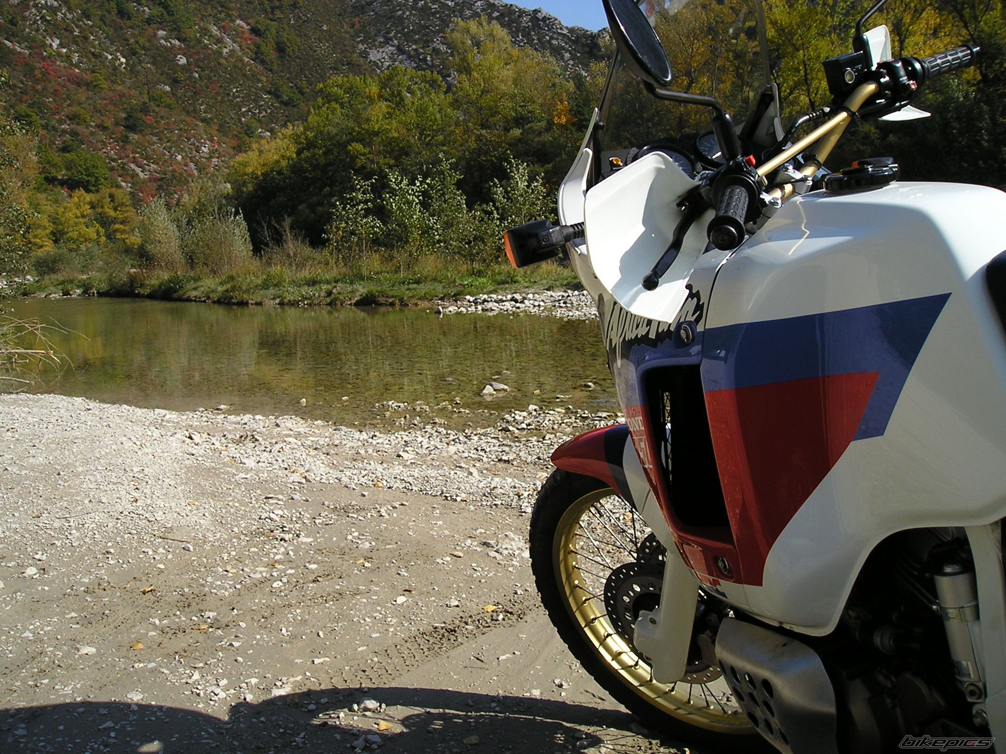 Photo 1445447