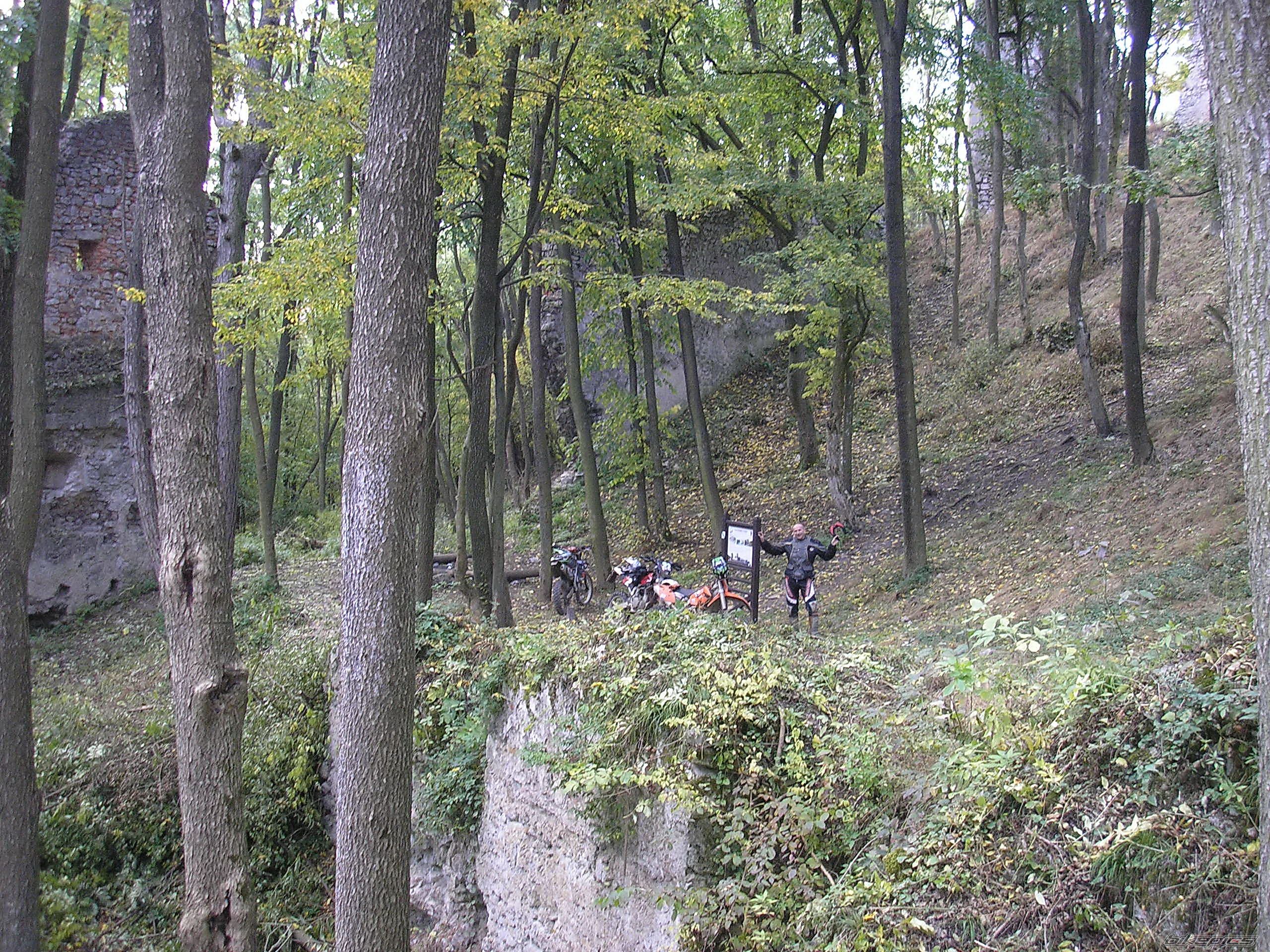 Photo 1445459