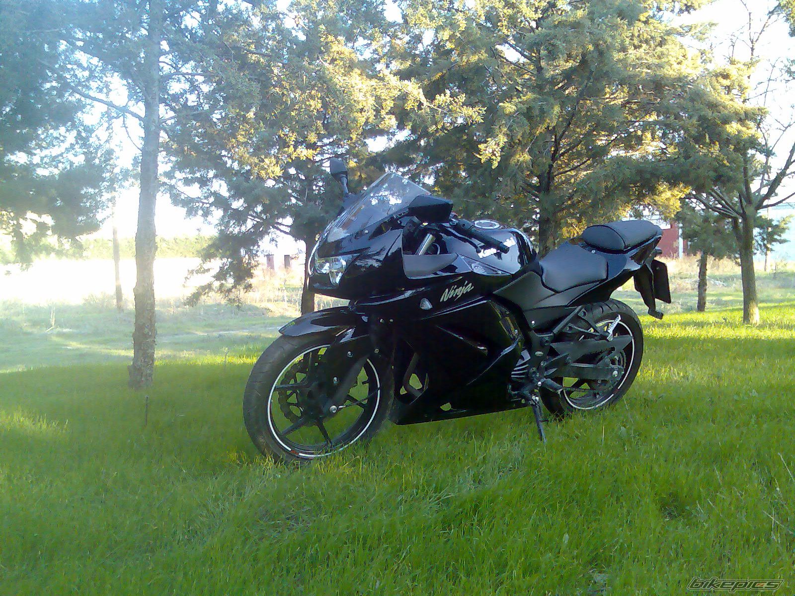 Bike Photo 1445461