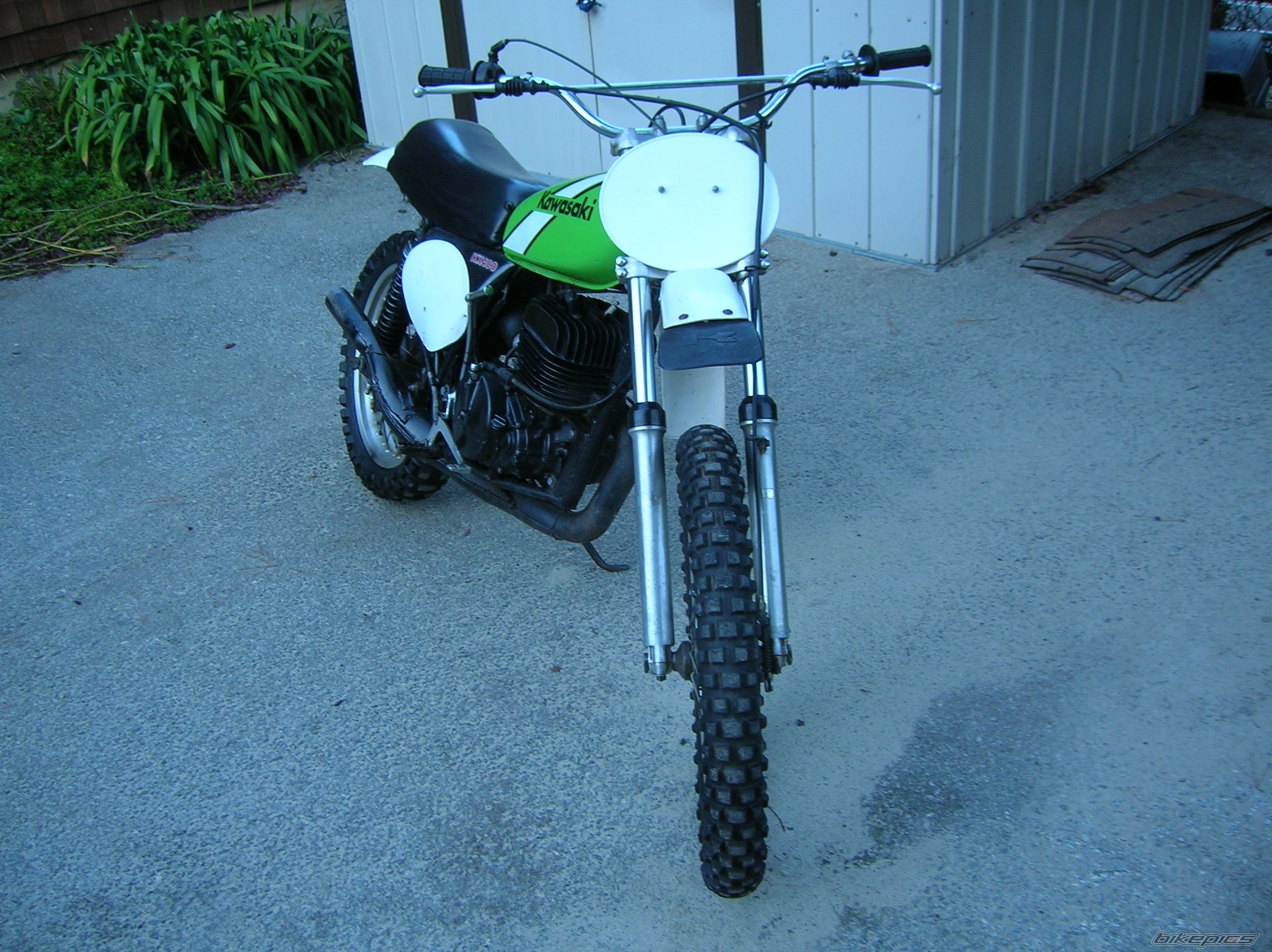 Photo 1445462