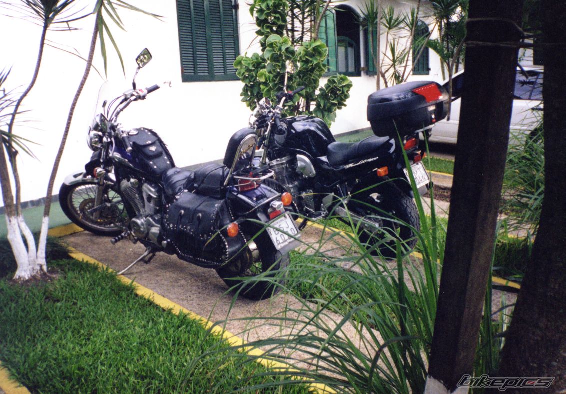 Photo 1445512