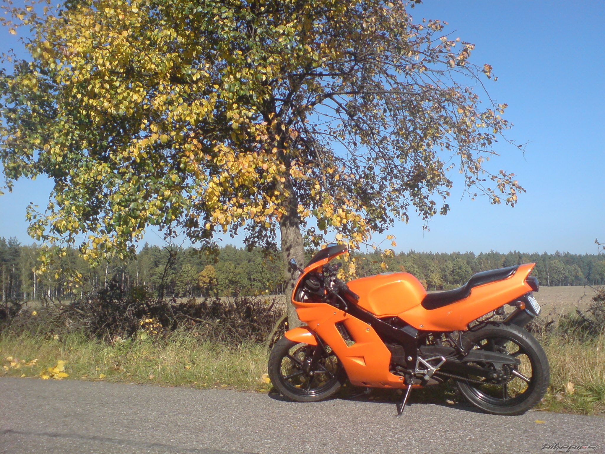 Photo 1445523