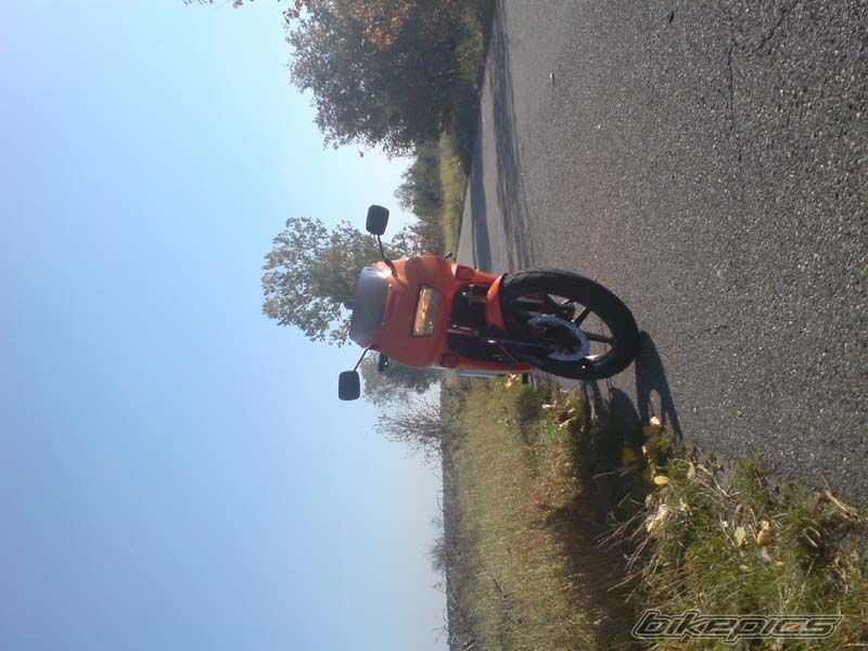Photo 1445526