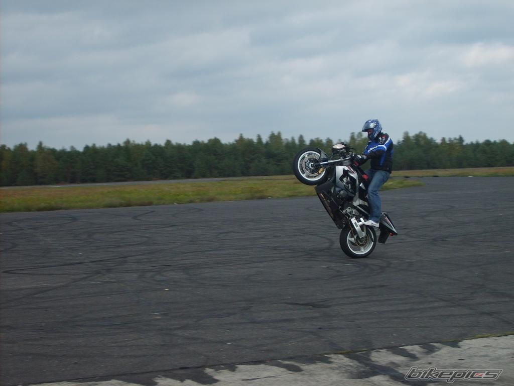 Photo 1445569