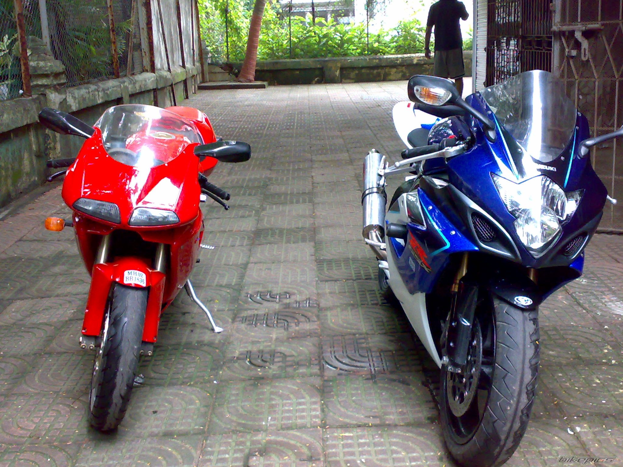 Photo 1445641
