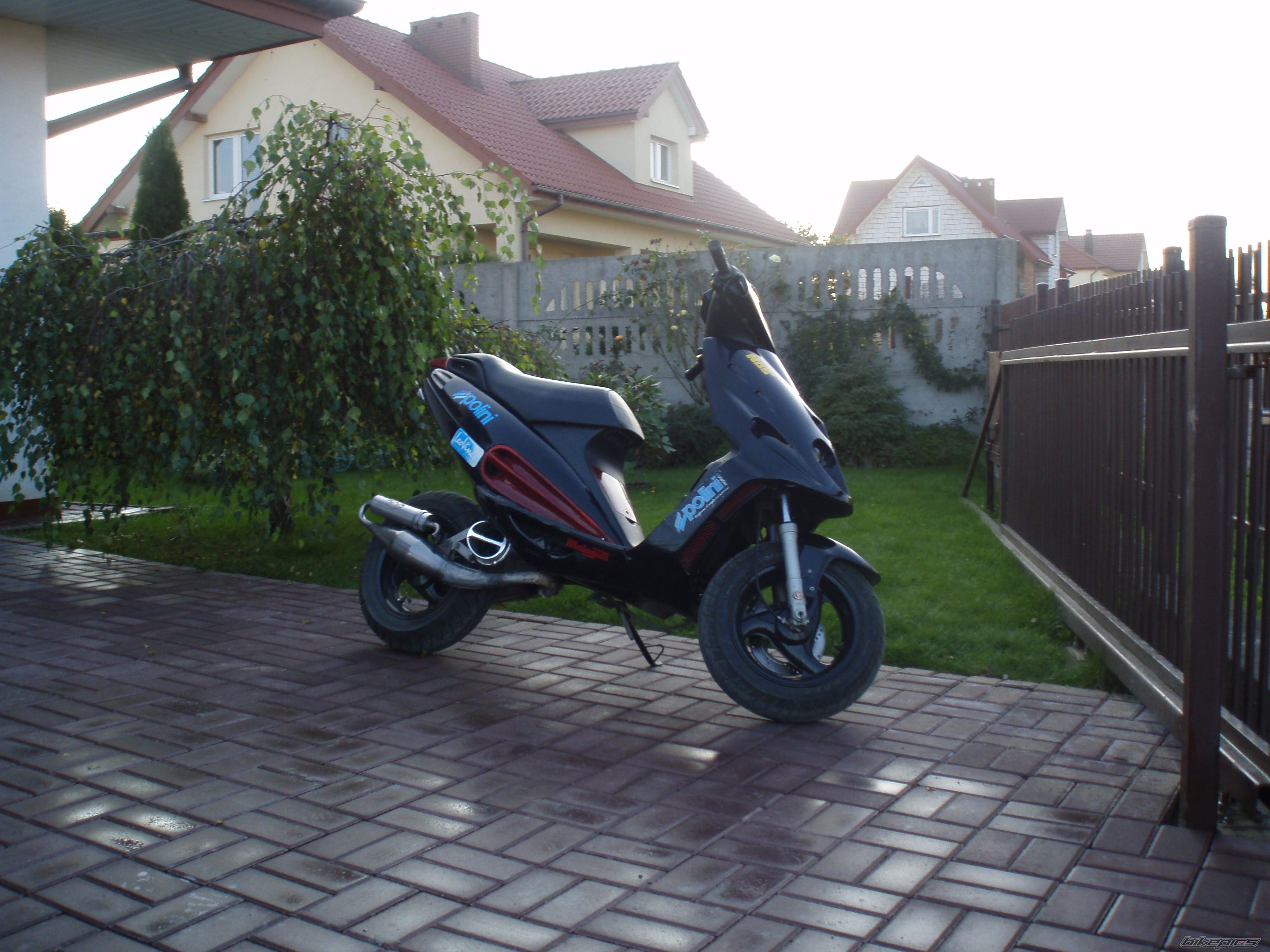 Photo 1445646