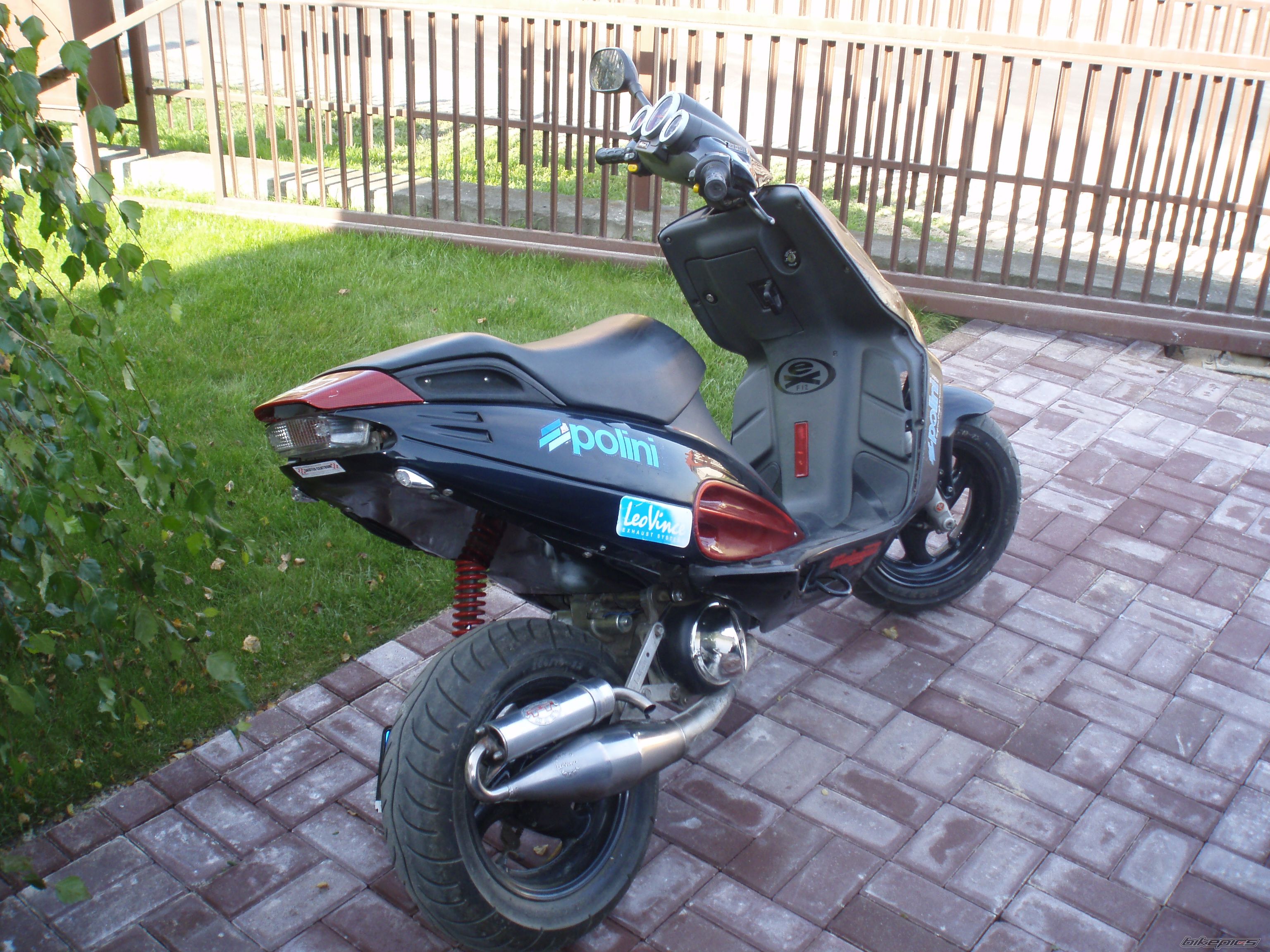 Photo 1445651