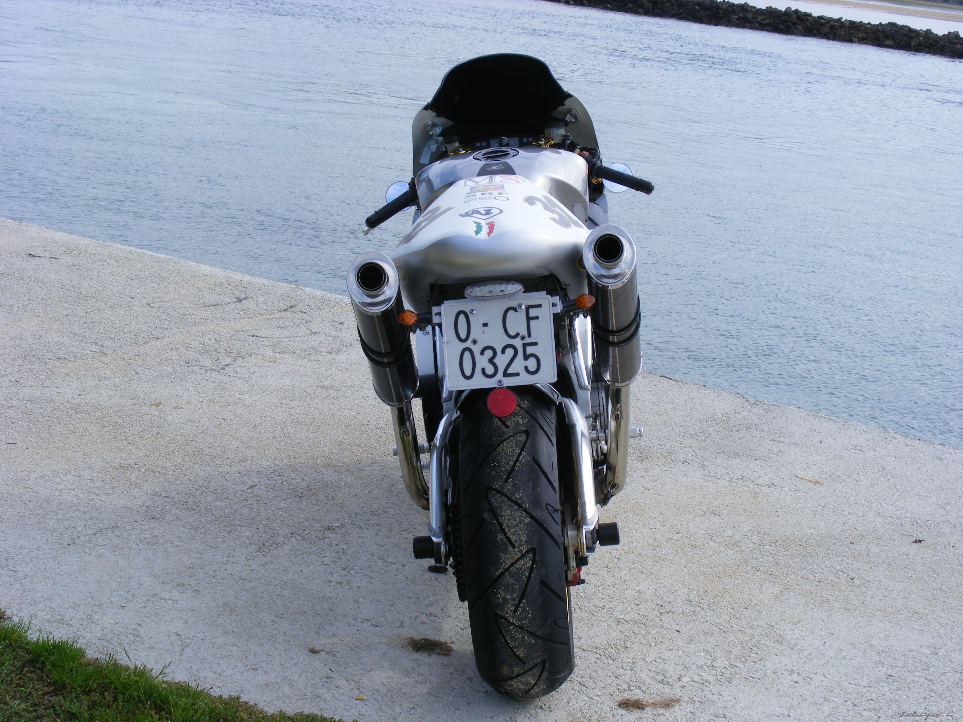Photo 1445653
