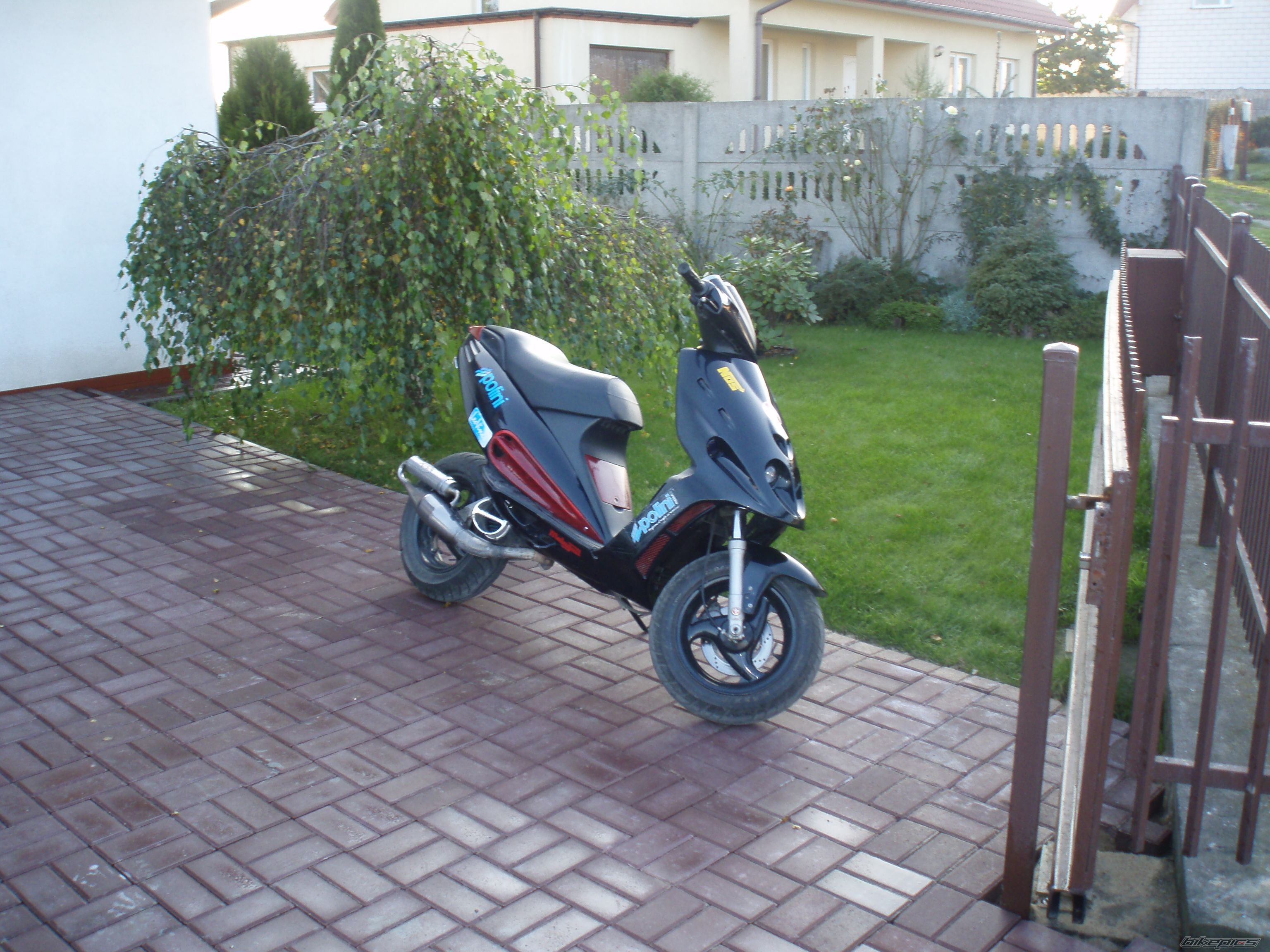 Photo 1445658