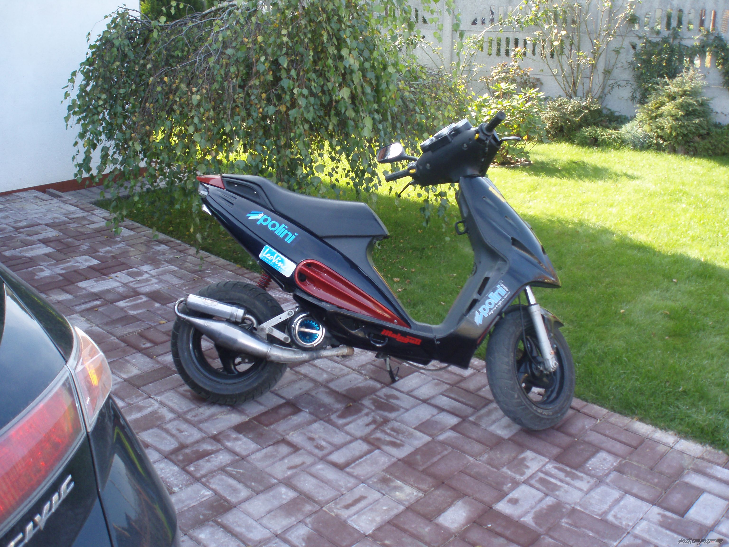 Photo 1445662