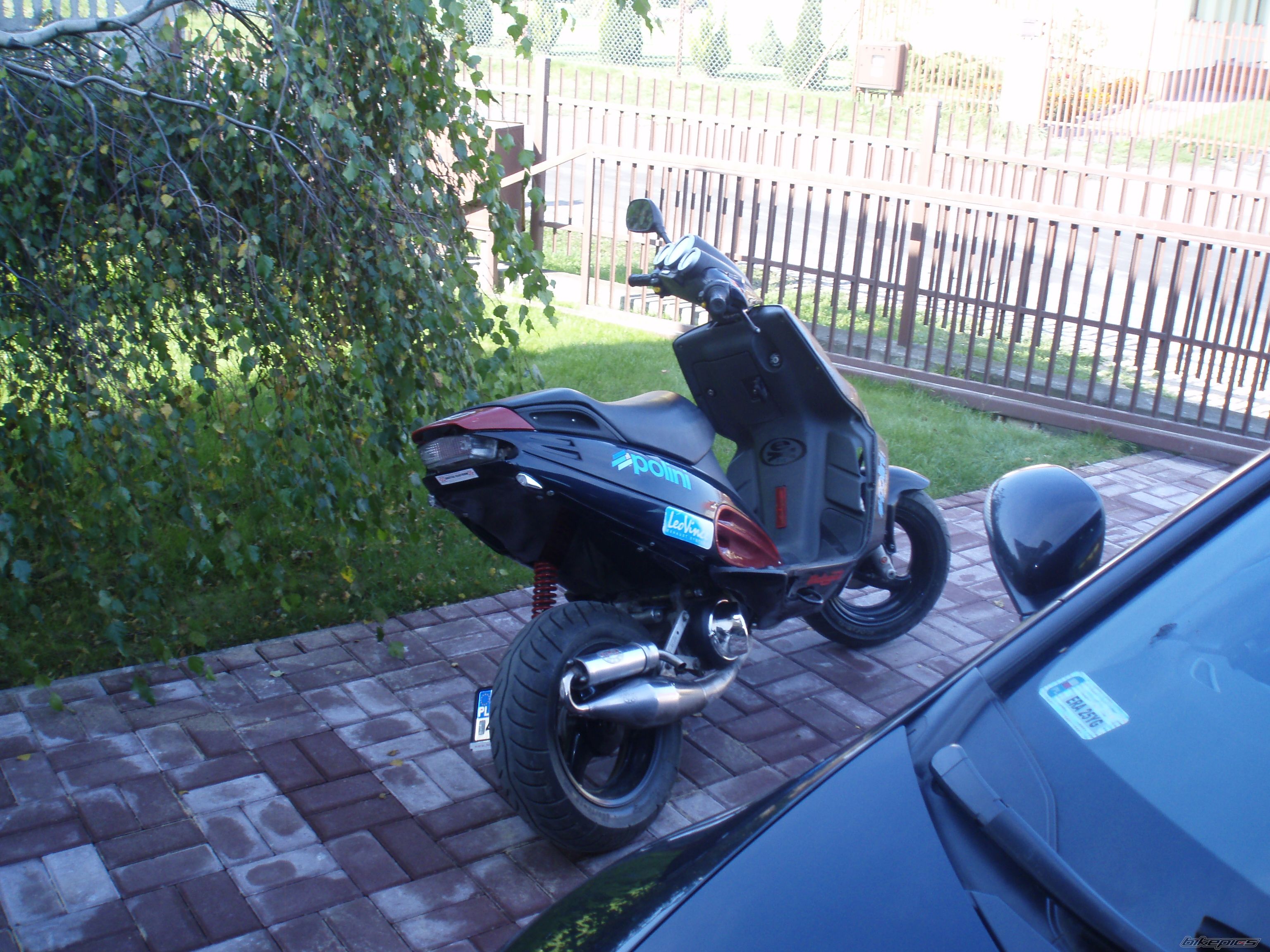 Photo 1445670
