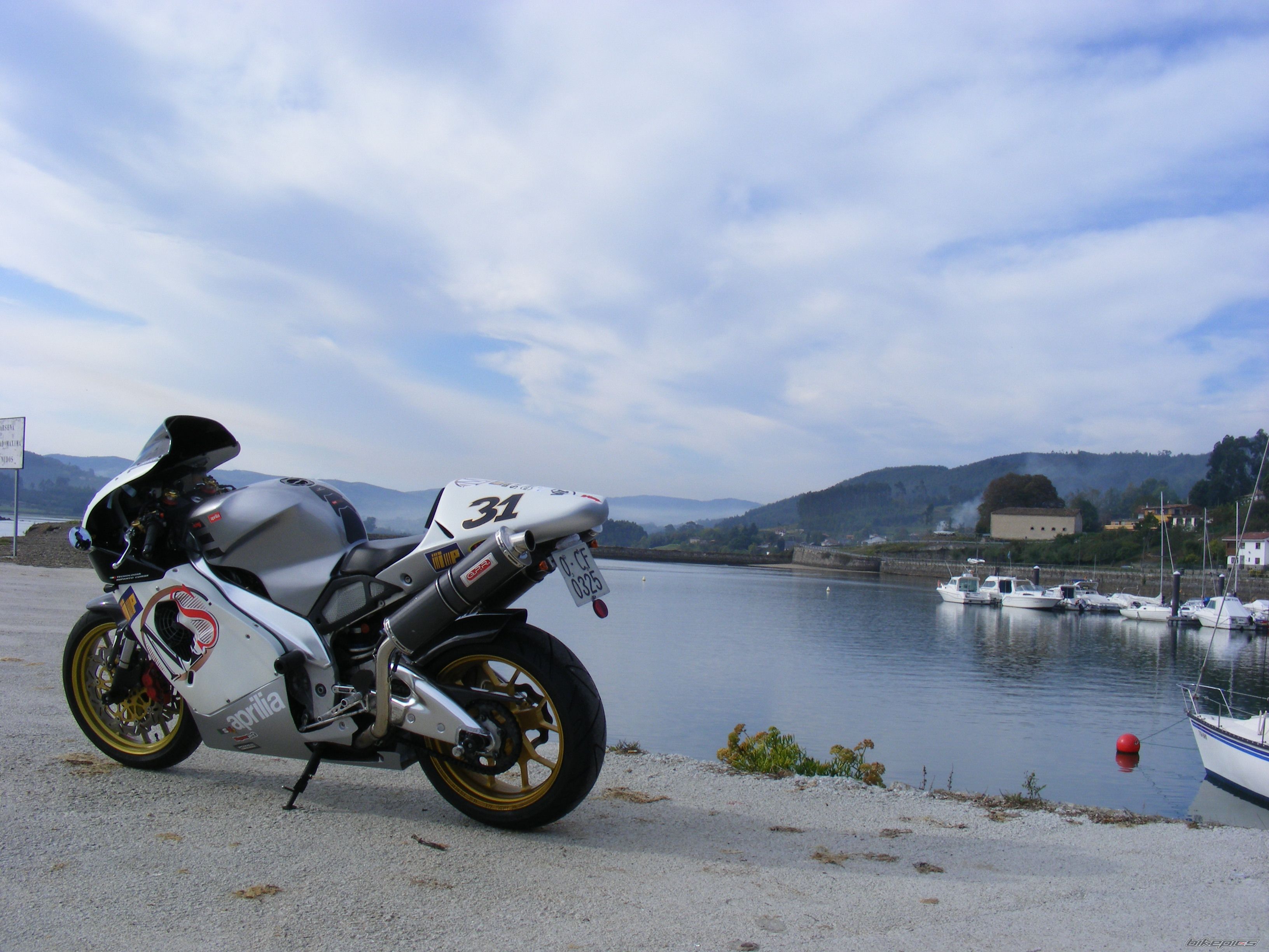 Photo 1445678