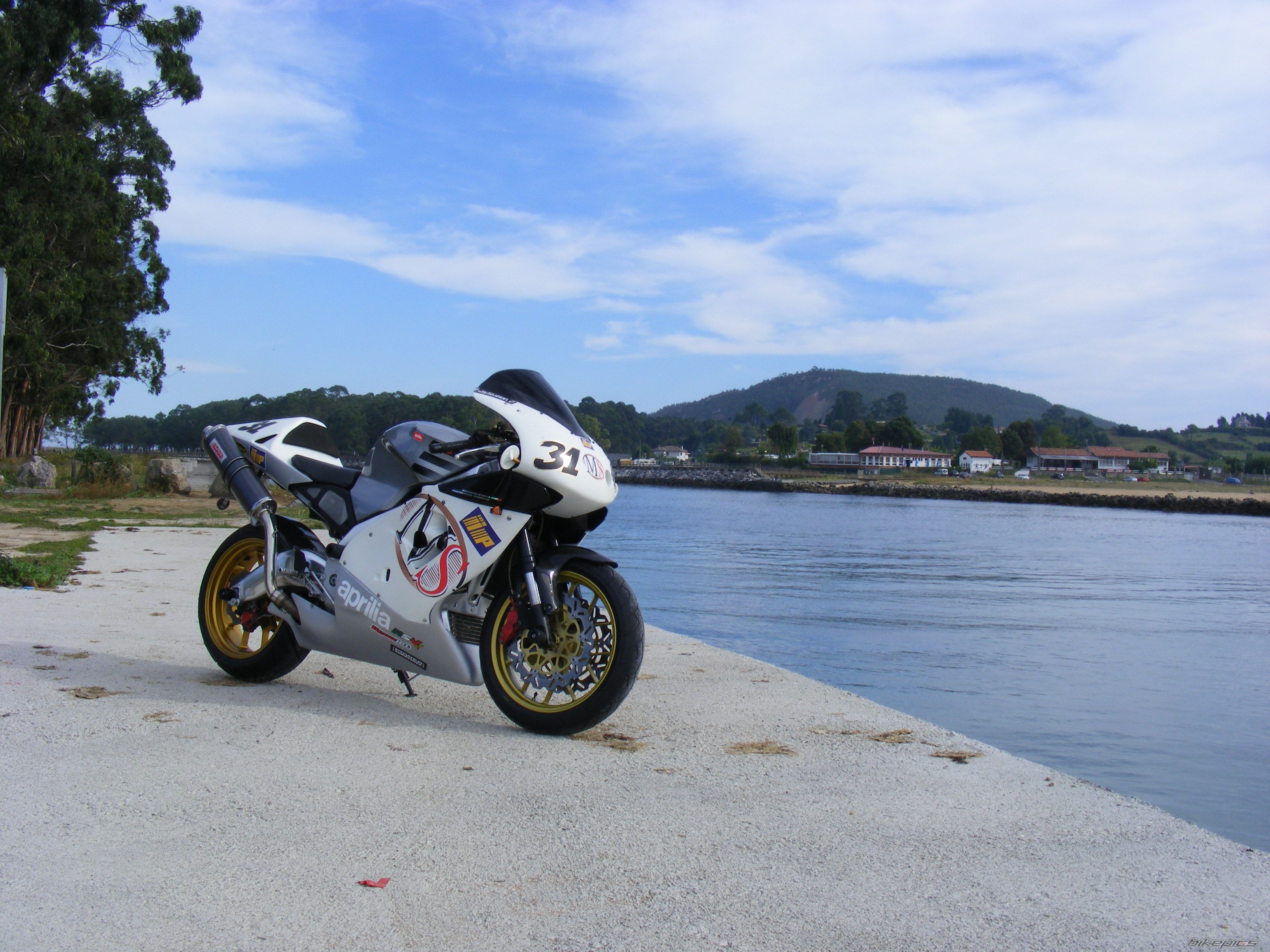 Photo 1445713