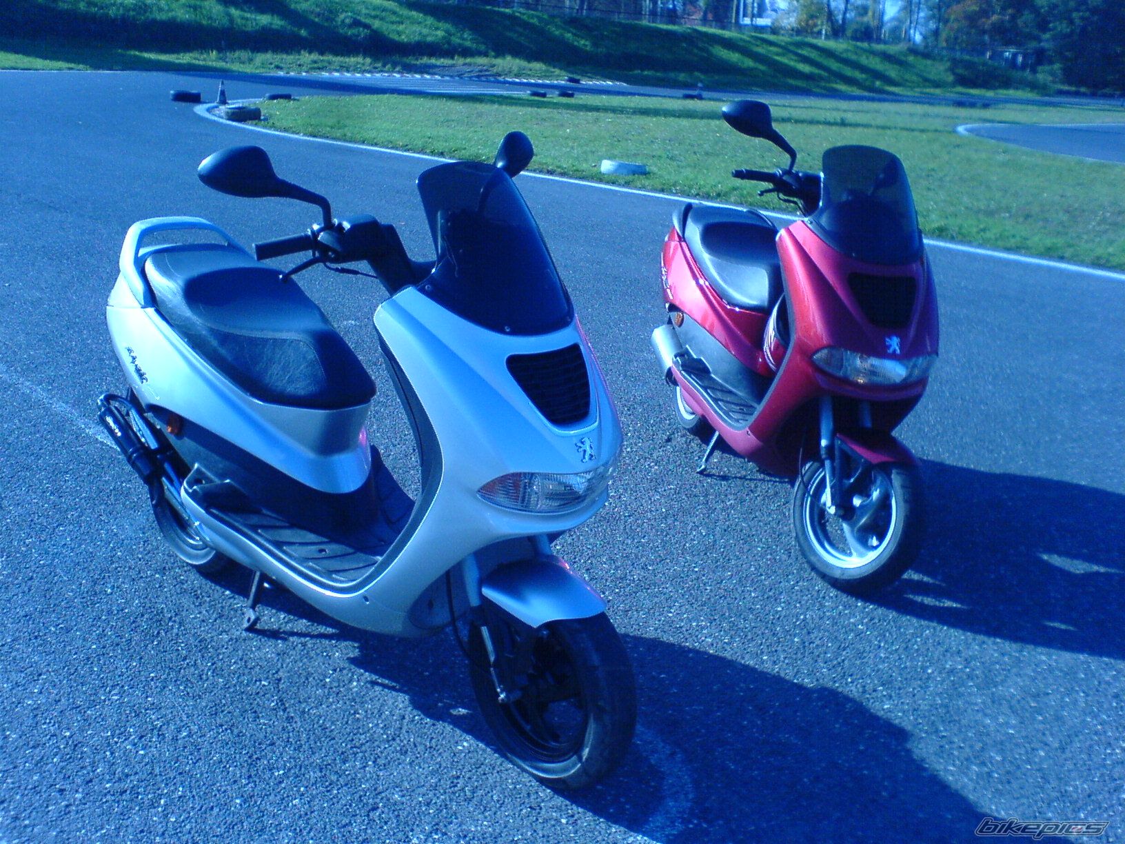 Photo 1445750