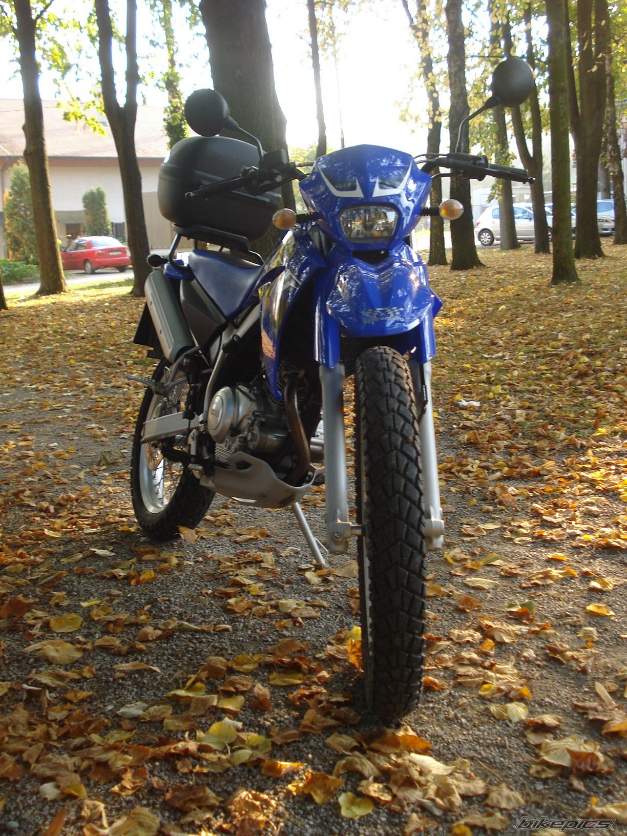 Photo 1445751