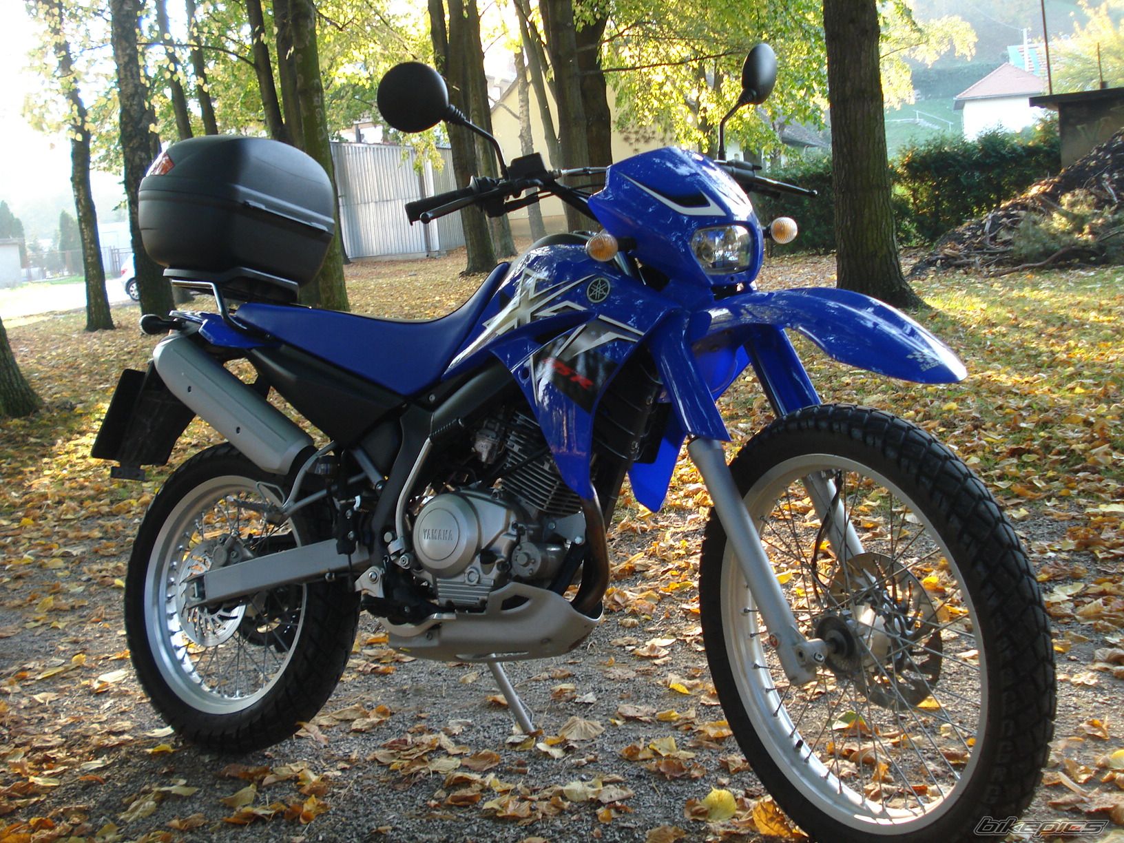 Photo 1445752