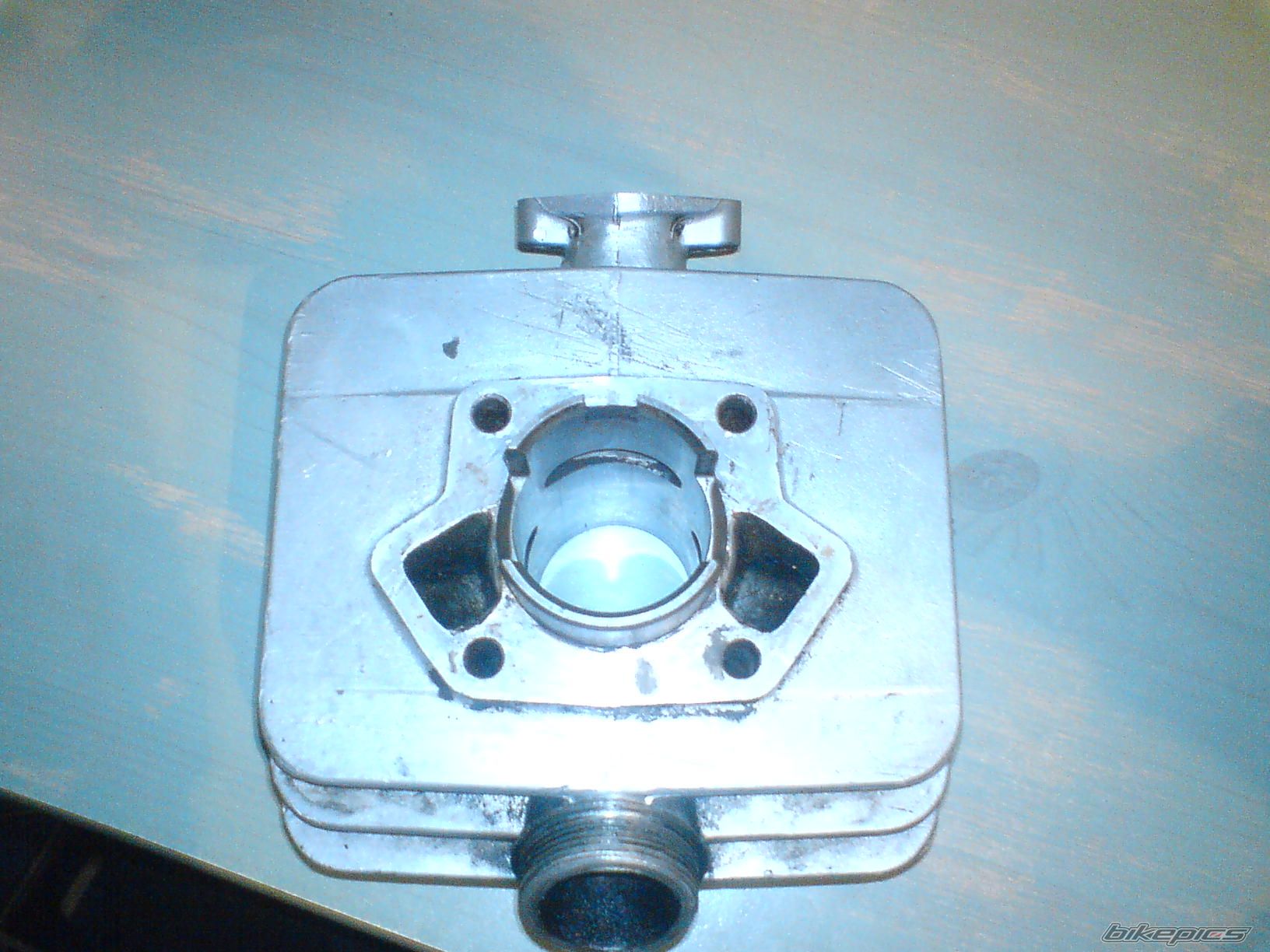 Photo 1445762