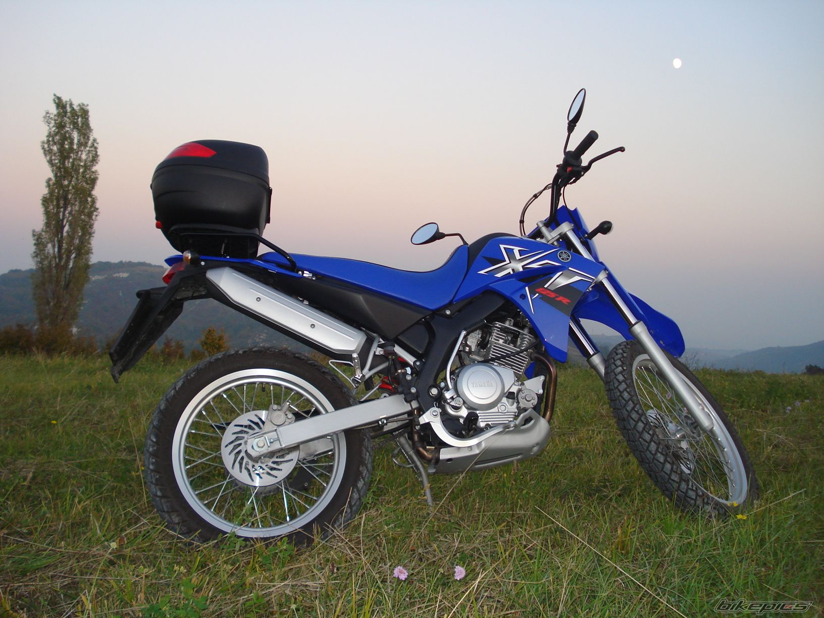 Photo 1445764
