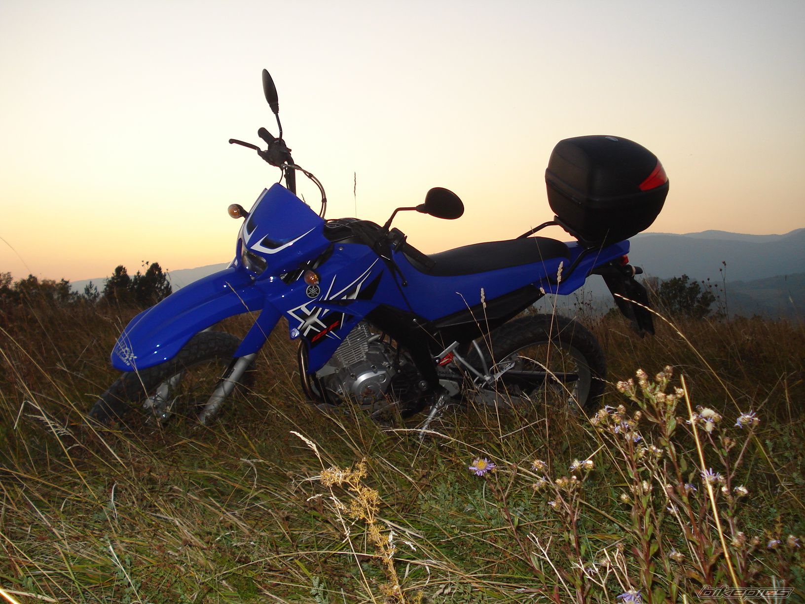 Photo 1445766