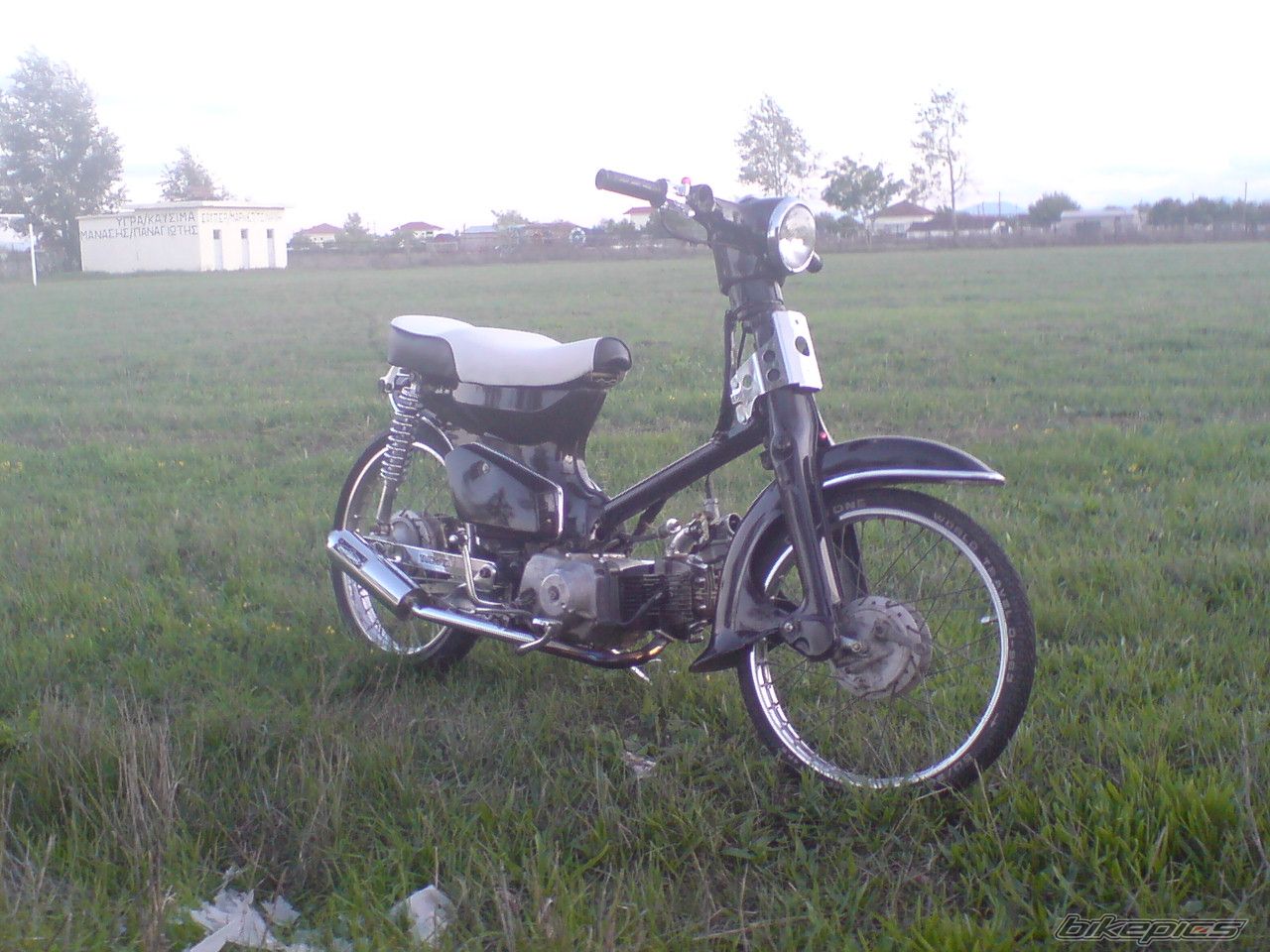 Photo 1445769