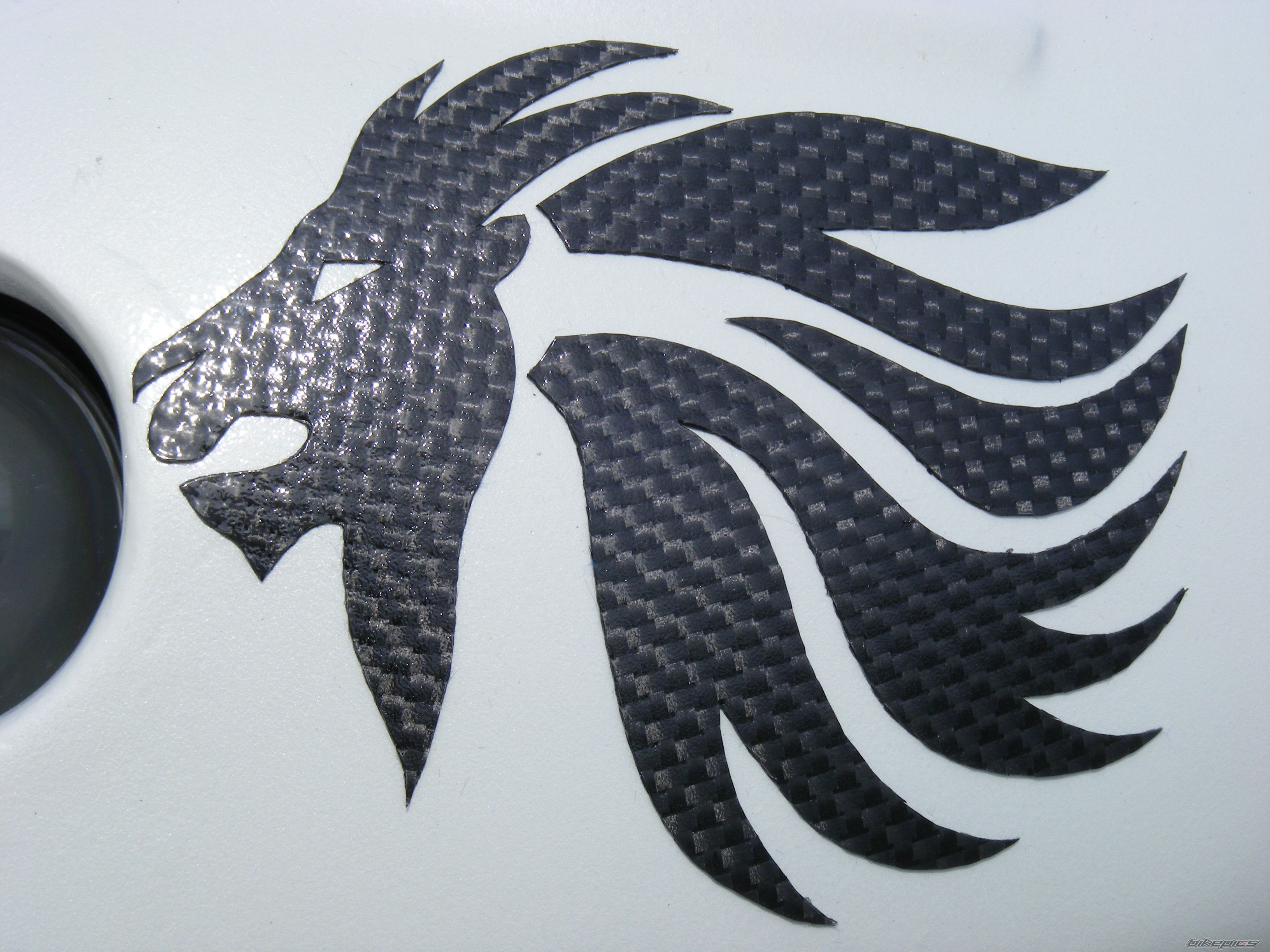 Photo 1445775