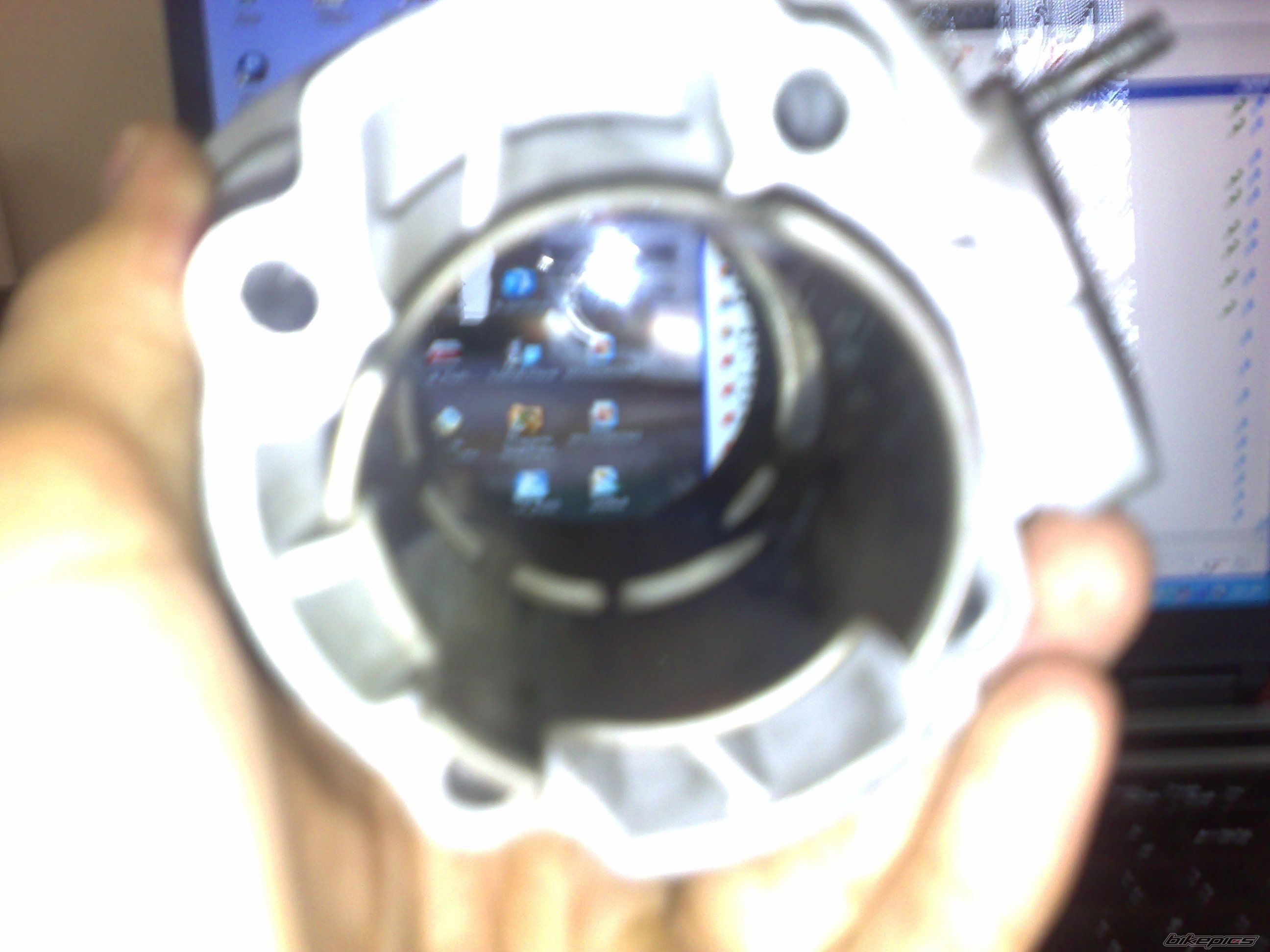 Photo 1445782