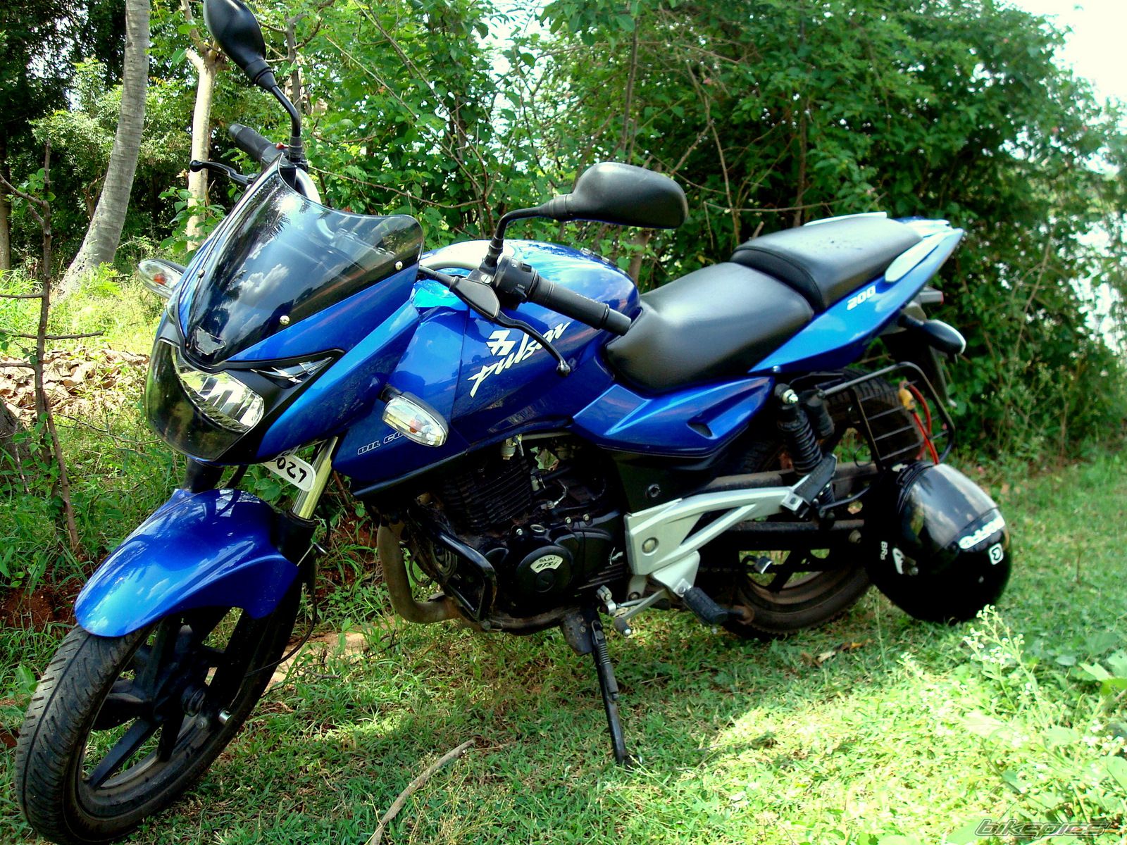 Photo 1445798