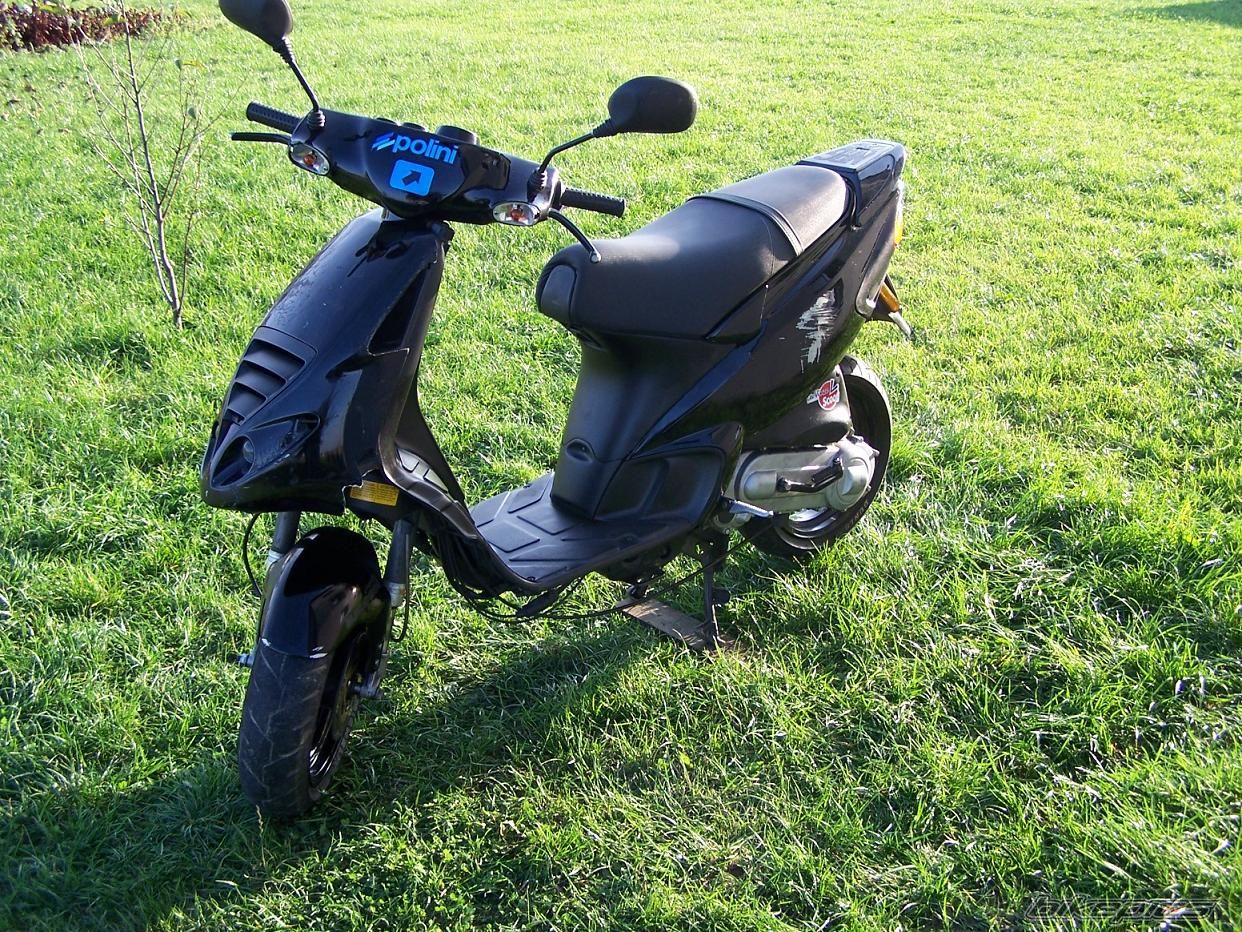 Photo 1445801