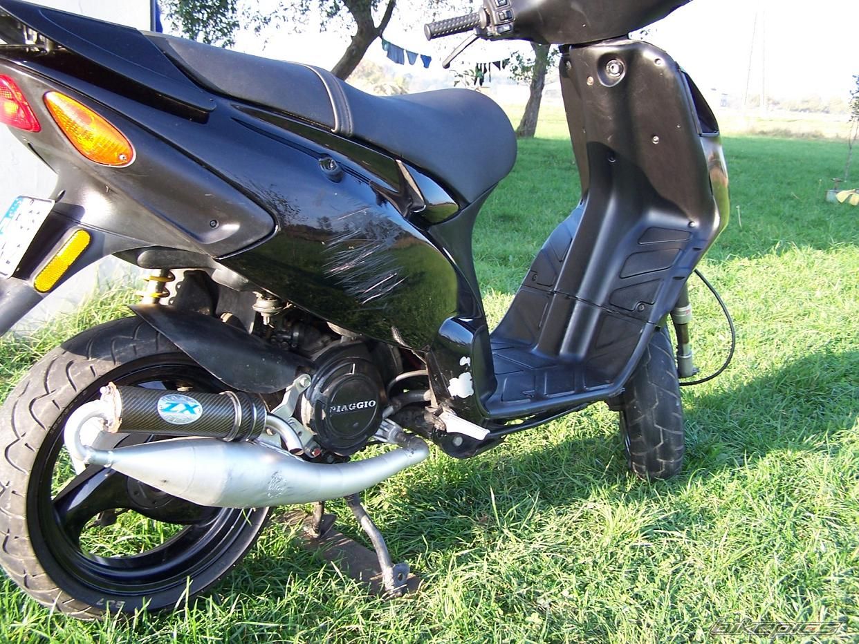 Photo 1445813