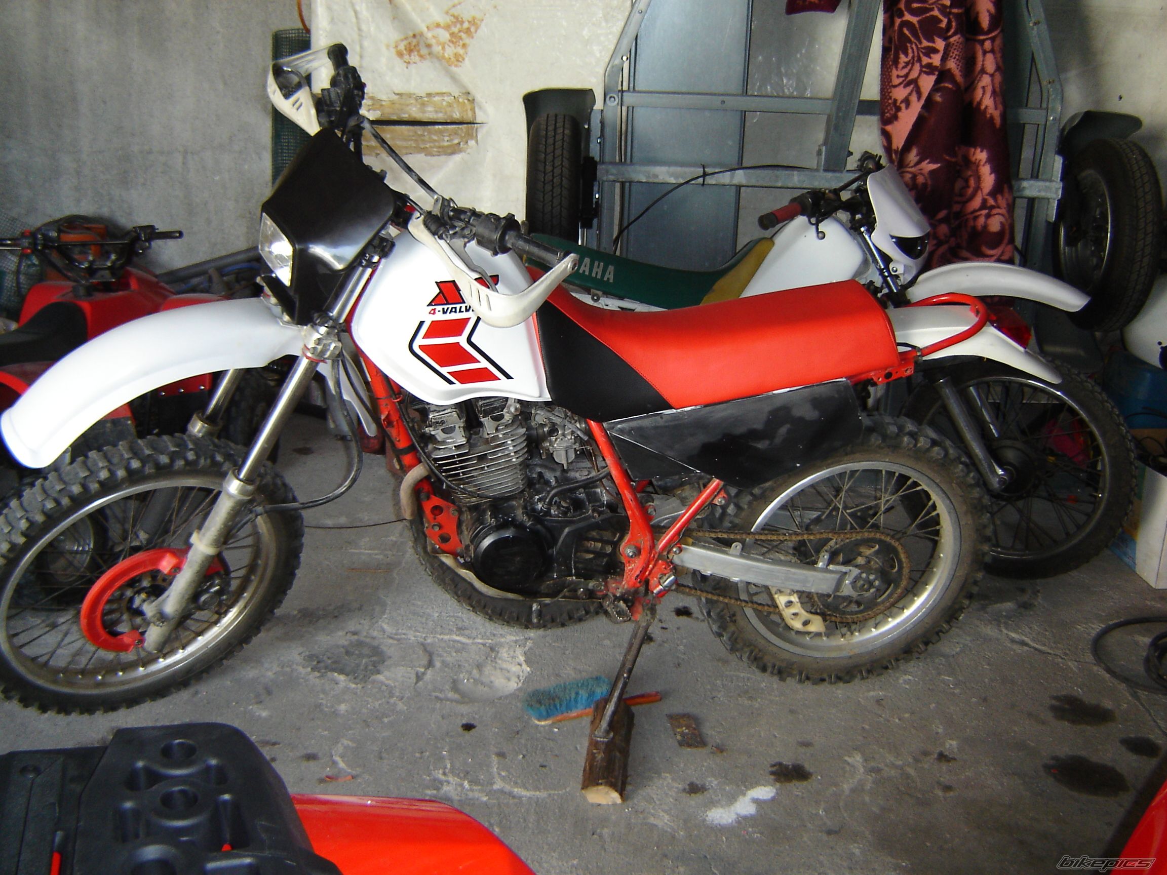Photo 1445844