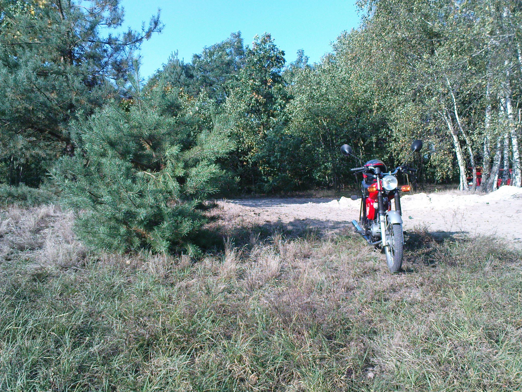 Photo 1445845