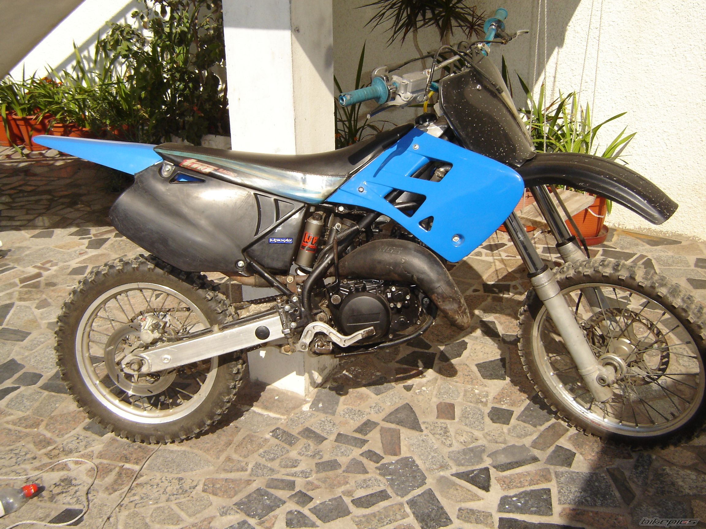 Photo 1445860
