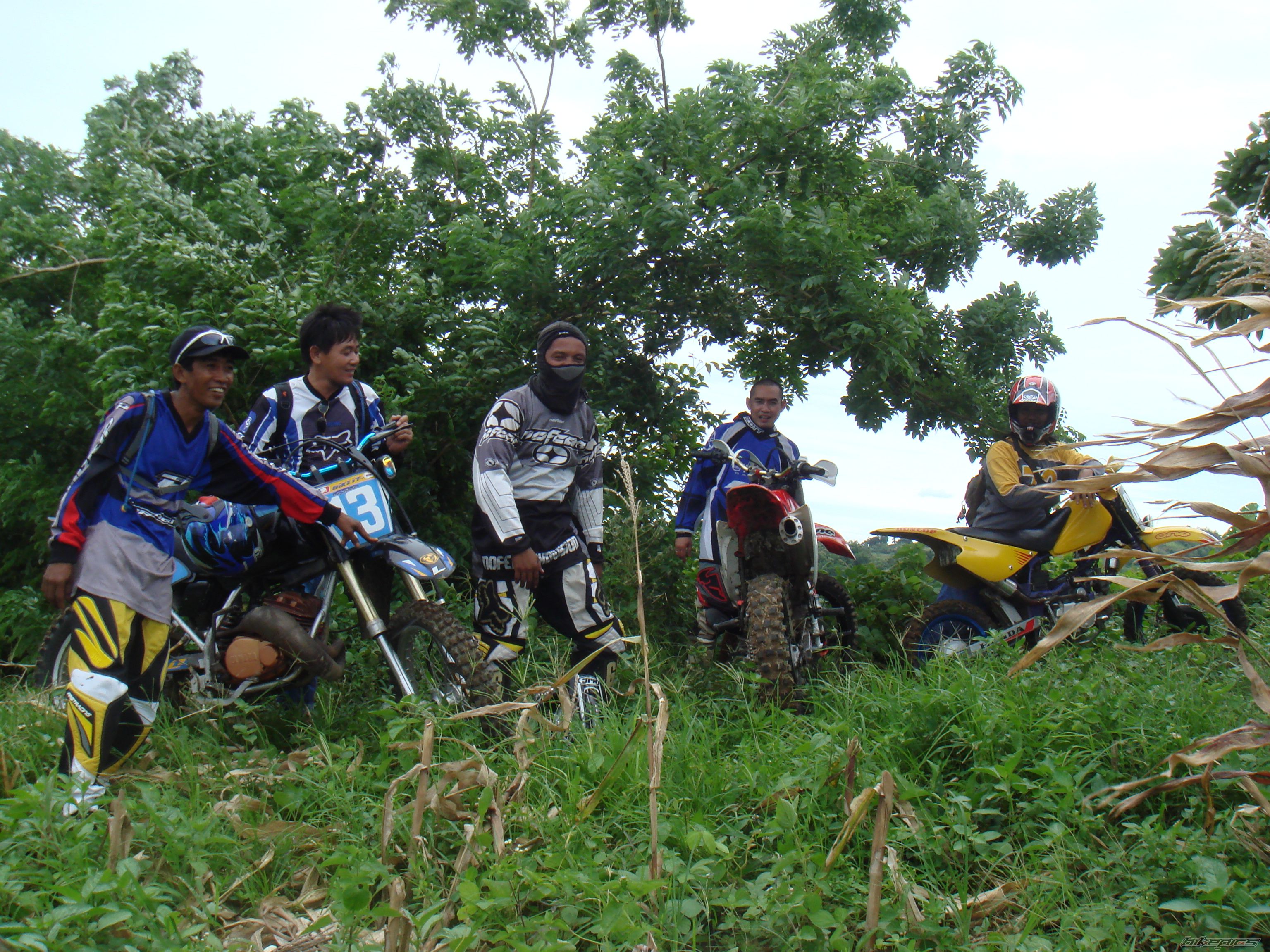 Photo 1445898