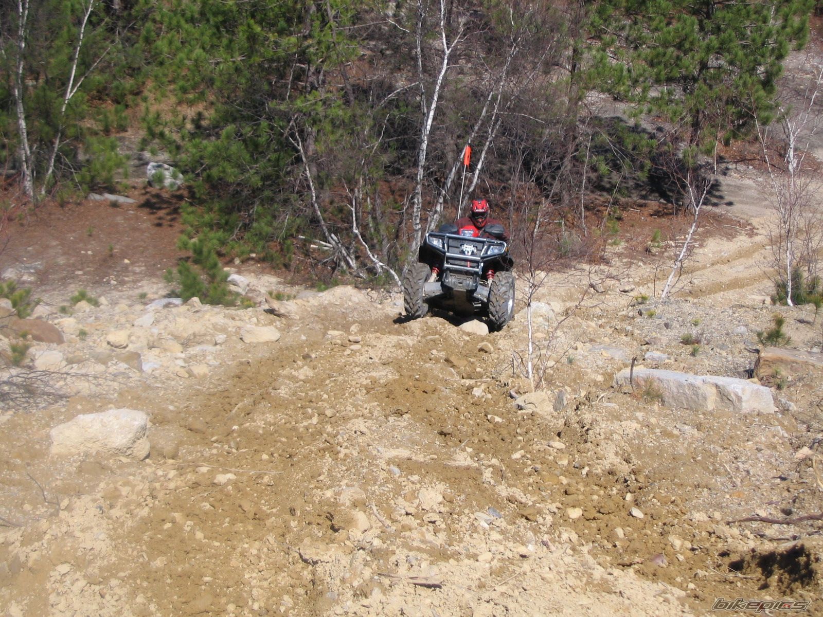 Photo 1445903
