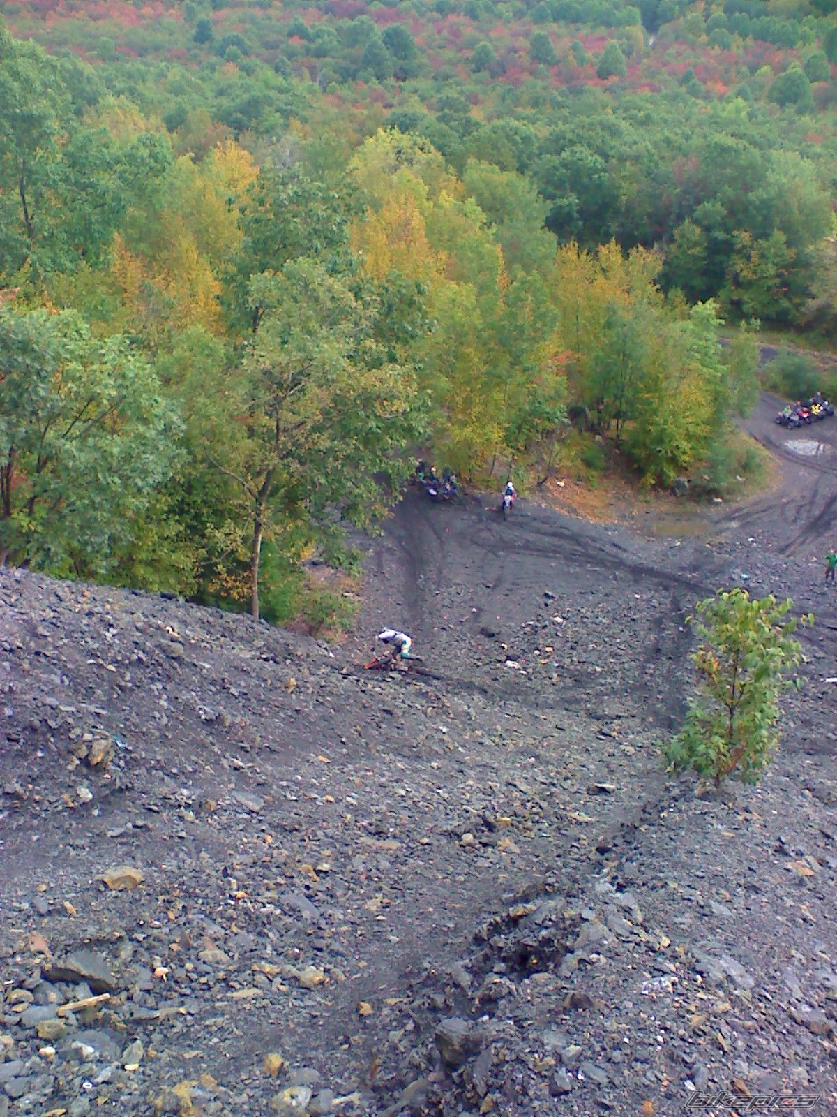 Photo 1445906